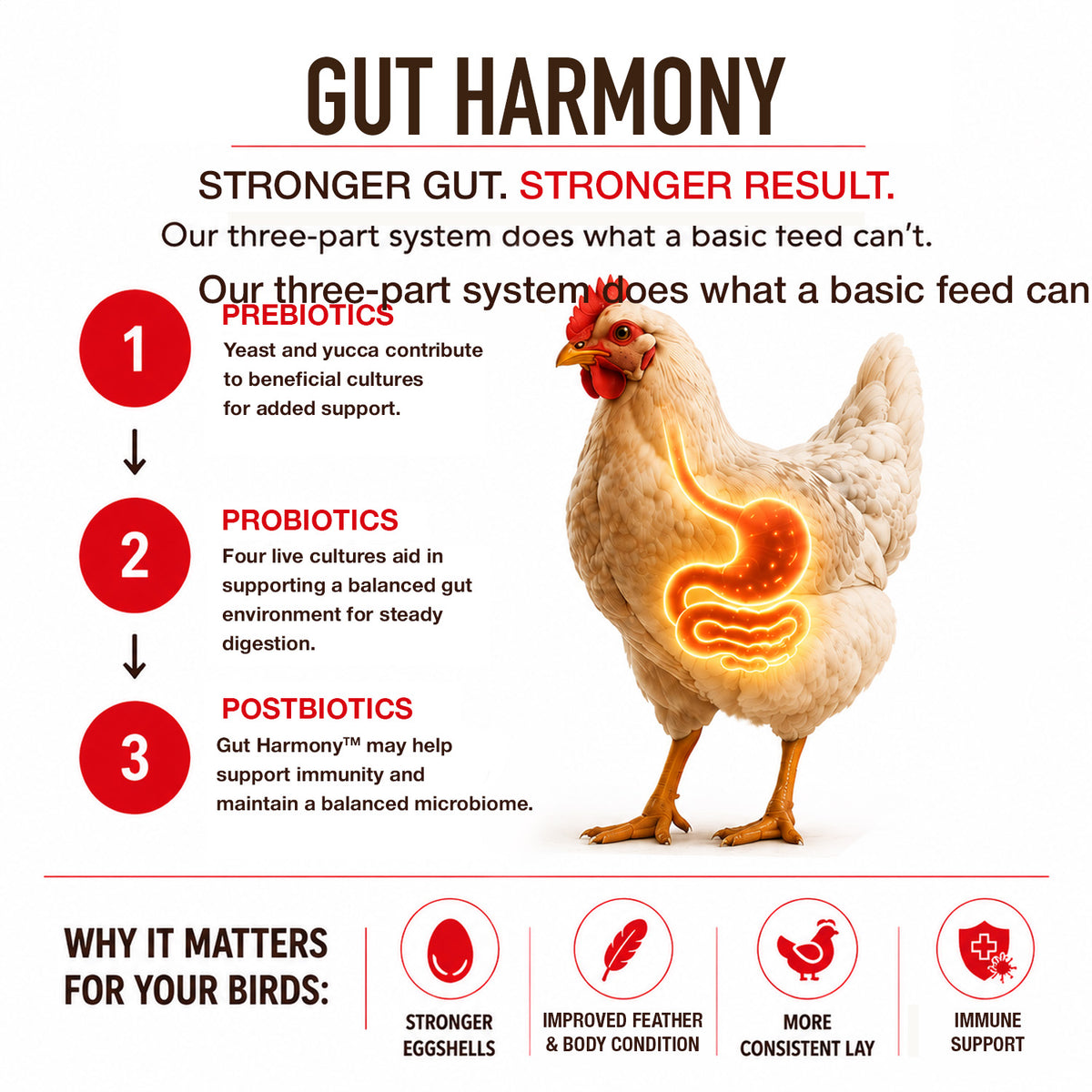 Premium Poultry Layer Pellets for Laying Hens, 16% Protein Blend Feed, 2000 lb - VMInnovations