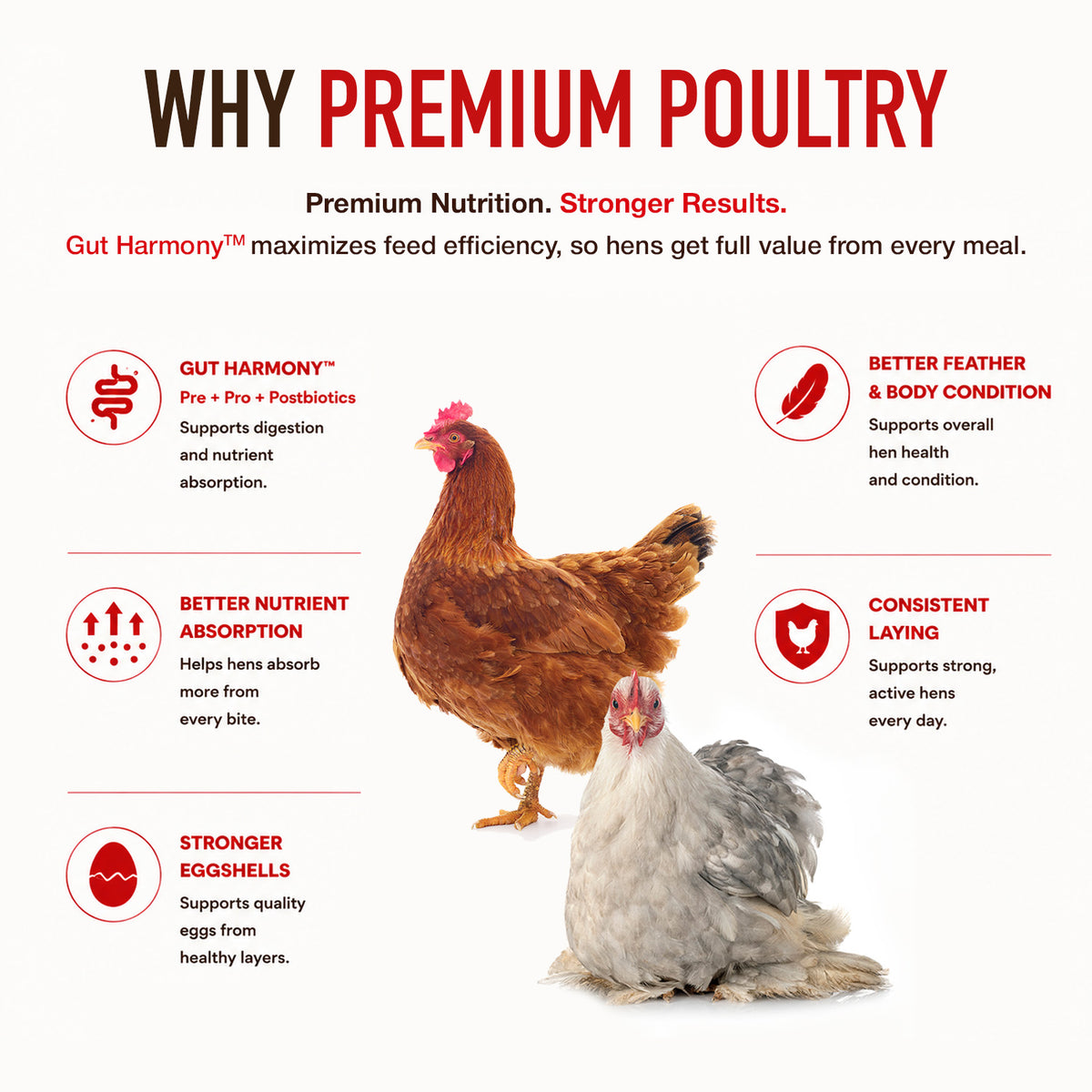Premium Poultry Layer Pellets for Laying Hens, 16% Protein Blend Feed, 40 lb
