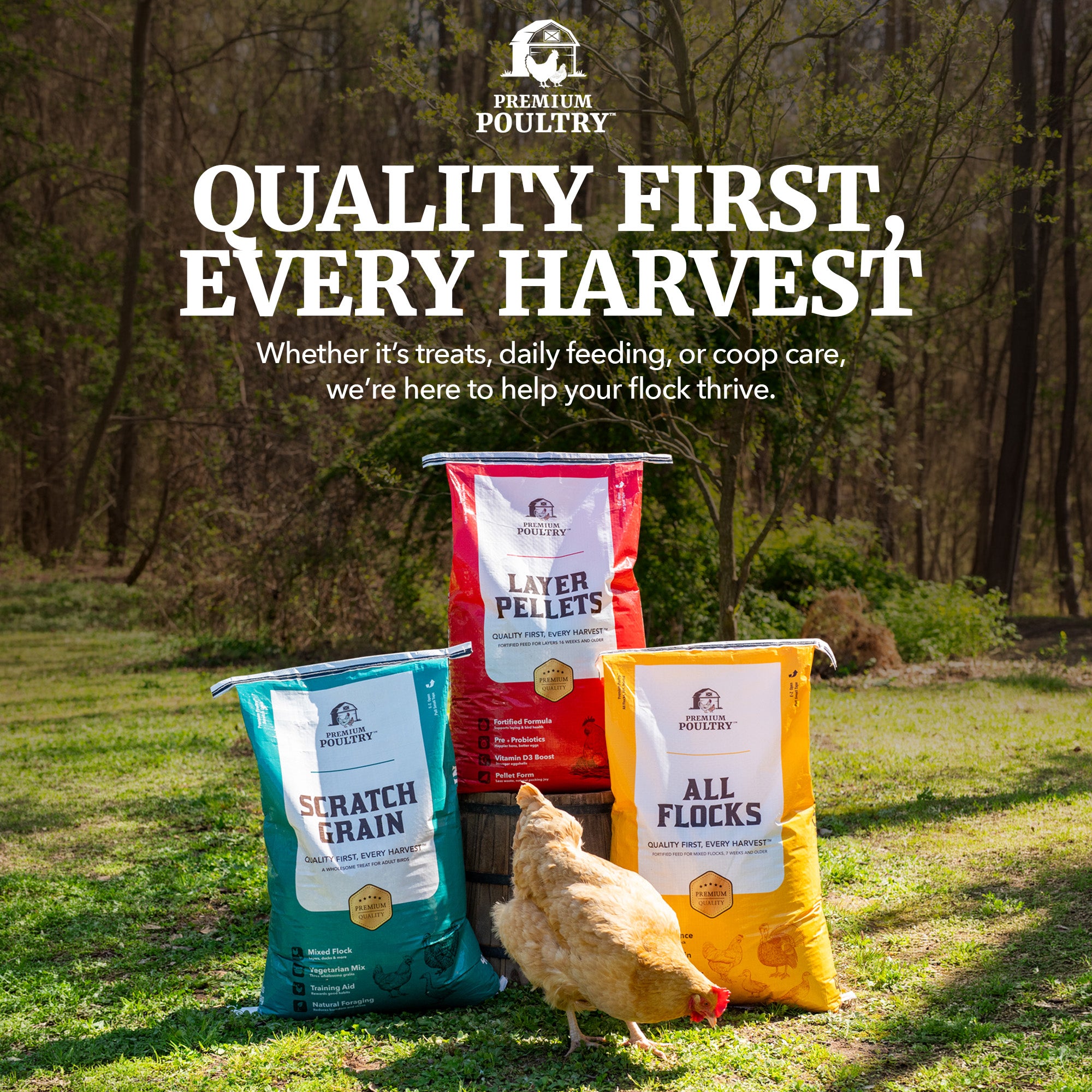 Premium Poultry All Flocks Feed Pellets, 18% Protein for Mixed Flocks, 2000 lbs