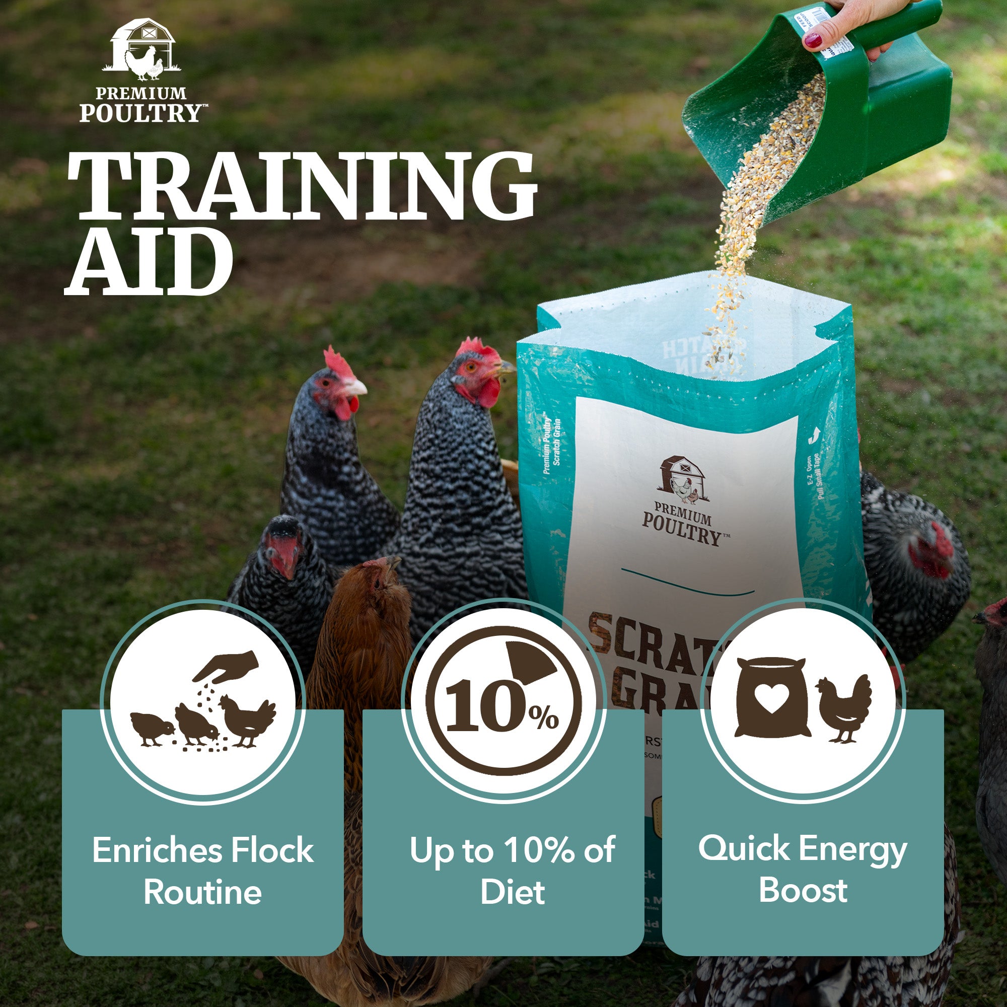 Premium Poultry Scratch Grain for Adult Chickens, Ducks, and Turkeys, 40 Pounds