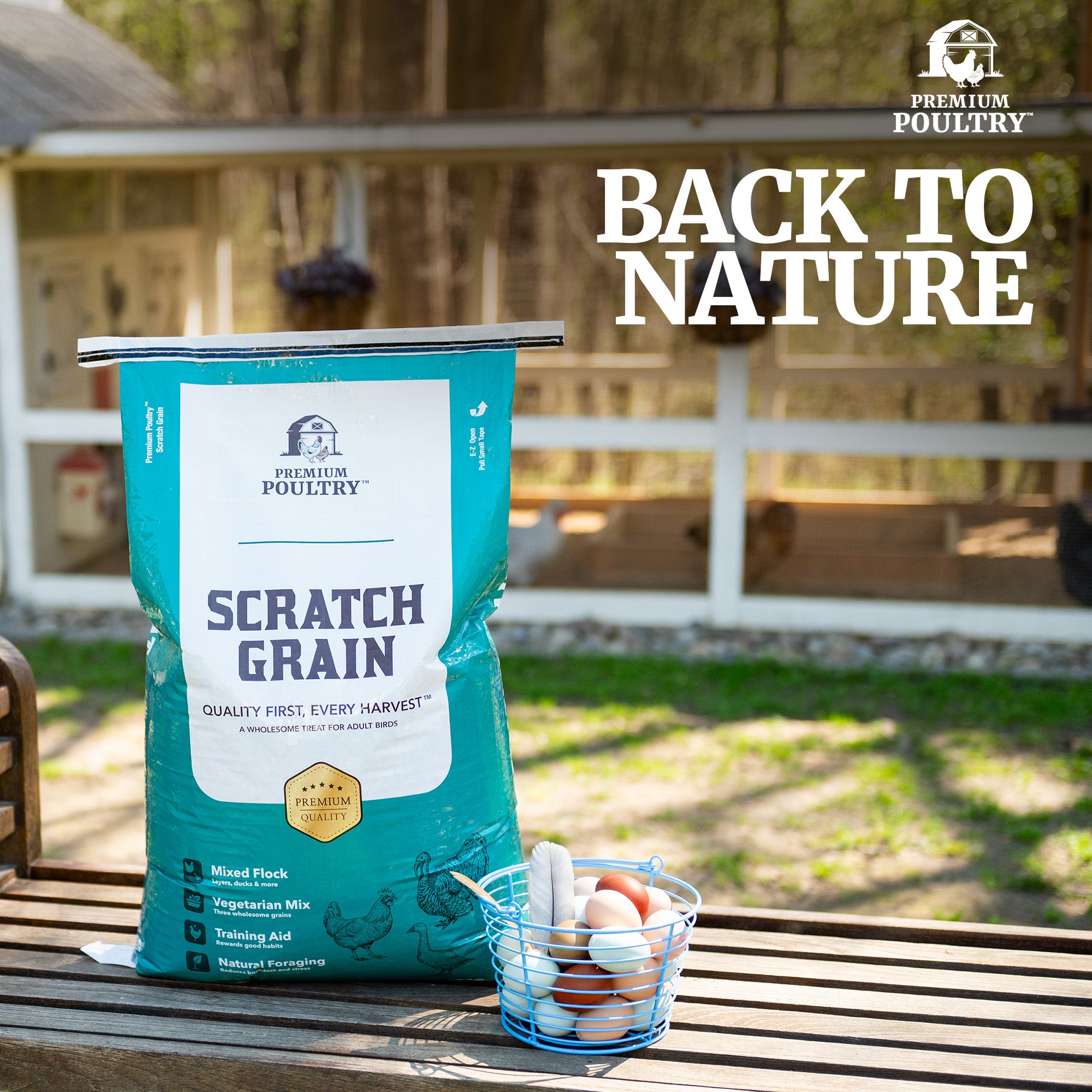 Premium Poultry Scratch Grain for Adult Chickens, Ducks, and Turkeys, 40 Pounds