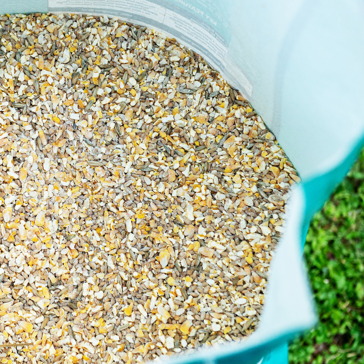 Premium Poultry Scratch Grain for Adult Chickens, Ducks, and Turkeys, 40 Pounds