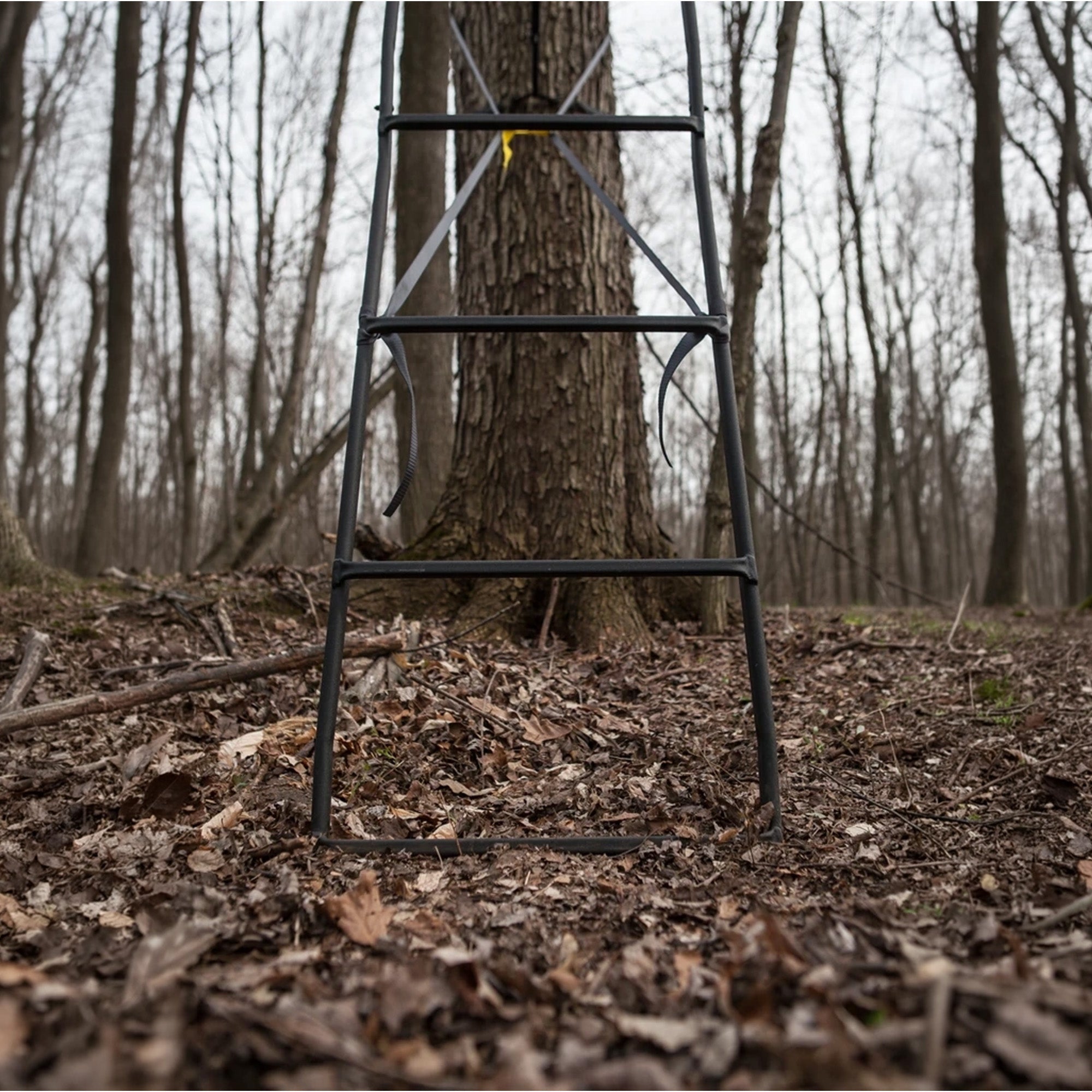 Hawk Hunting Big Denali Ladderstand with 26" Wide Seat and 23" Backrest, Multi - VMInnovations
