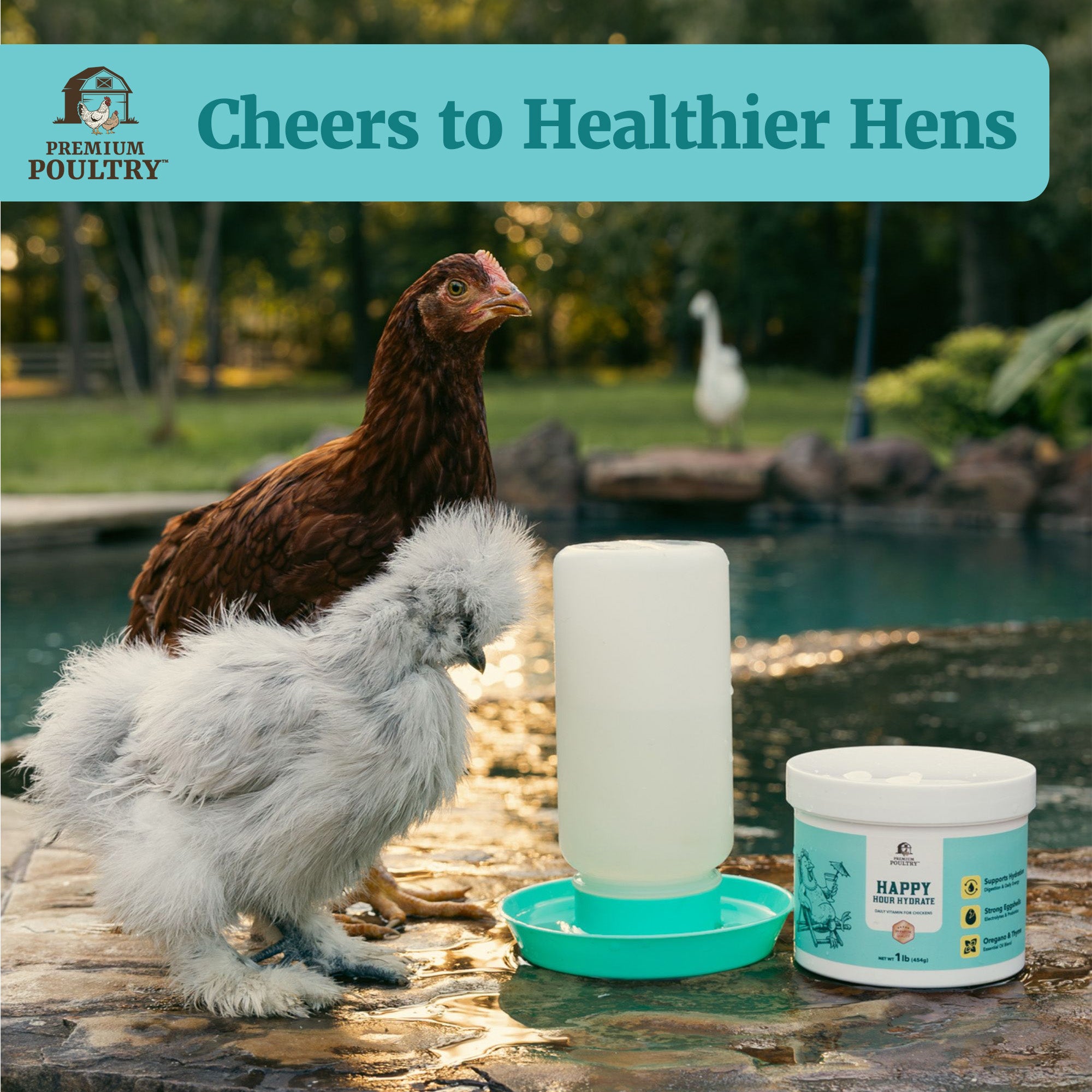 Premium Poultry Happy Hour Hydrate, Electrolytes & Probiotics for Chickens, 16oz