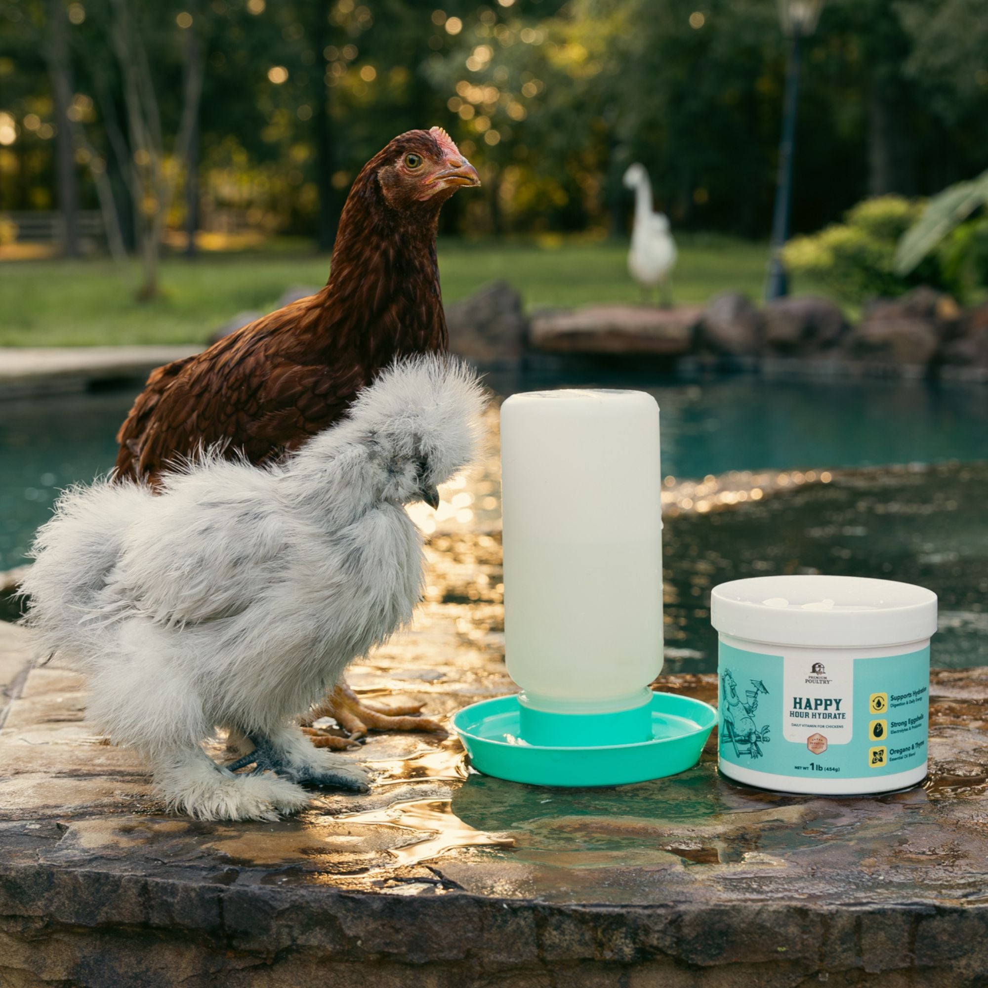 Premium Poultry Happy Hour Hydrate, Electrolytes & Probiotics for Chickens, 16oz