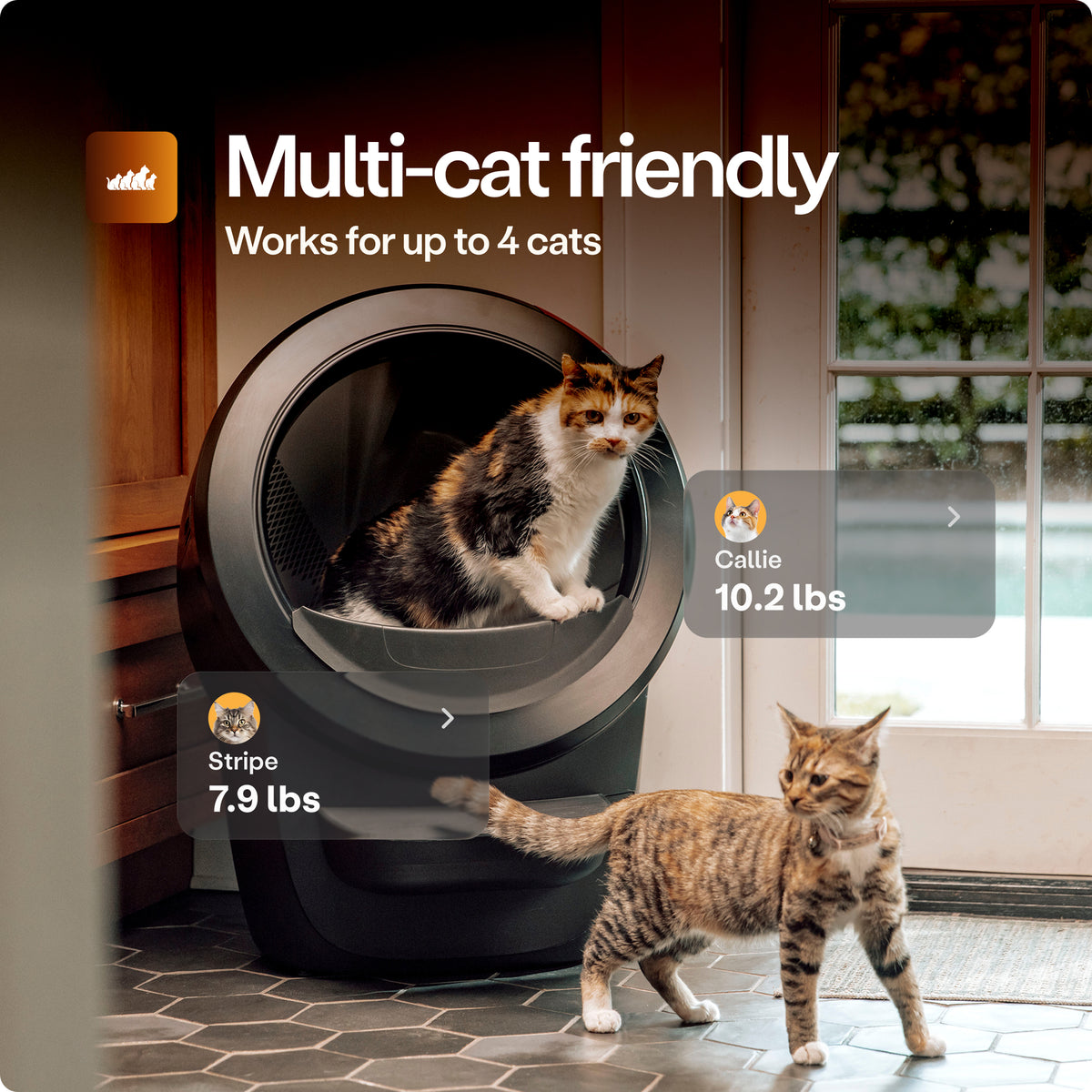 Litter-Robot 4 Supply Bundle by Whisker, Black - Automatic, Self-Cleaning Cat Litter Box, Includes Litter-Robot 4, 3 OdorTrap Refills, 10 Liners, 30 Cleaner Wipes, & 2 Carbon Filters