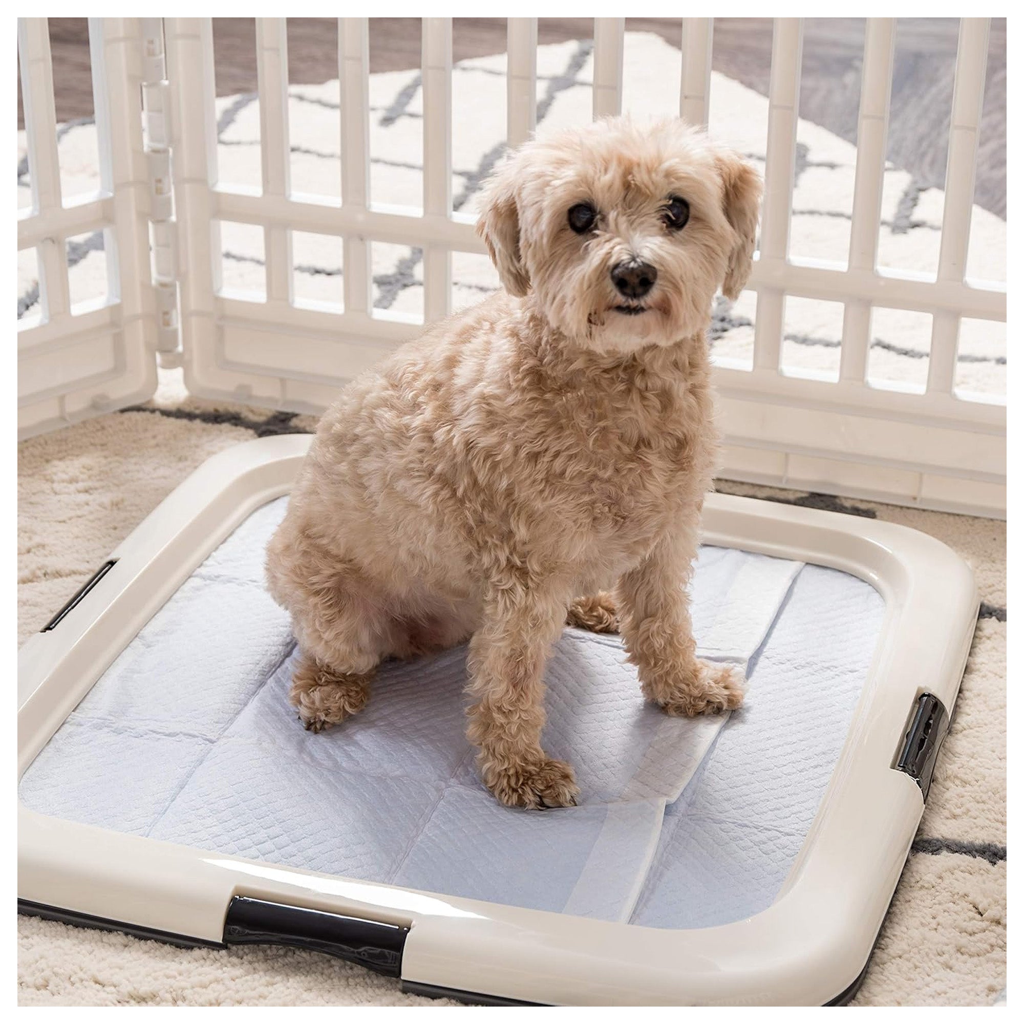 IRIS USA Secure Pee Pad Holder for Regular Sized Dogs, Fits 22"x22" Pad (Used) - VMInnovations