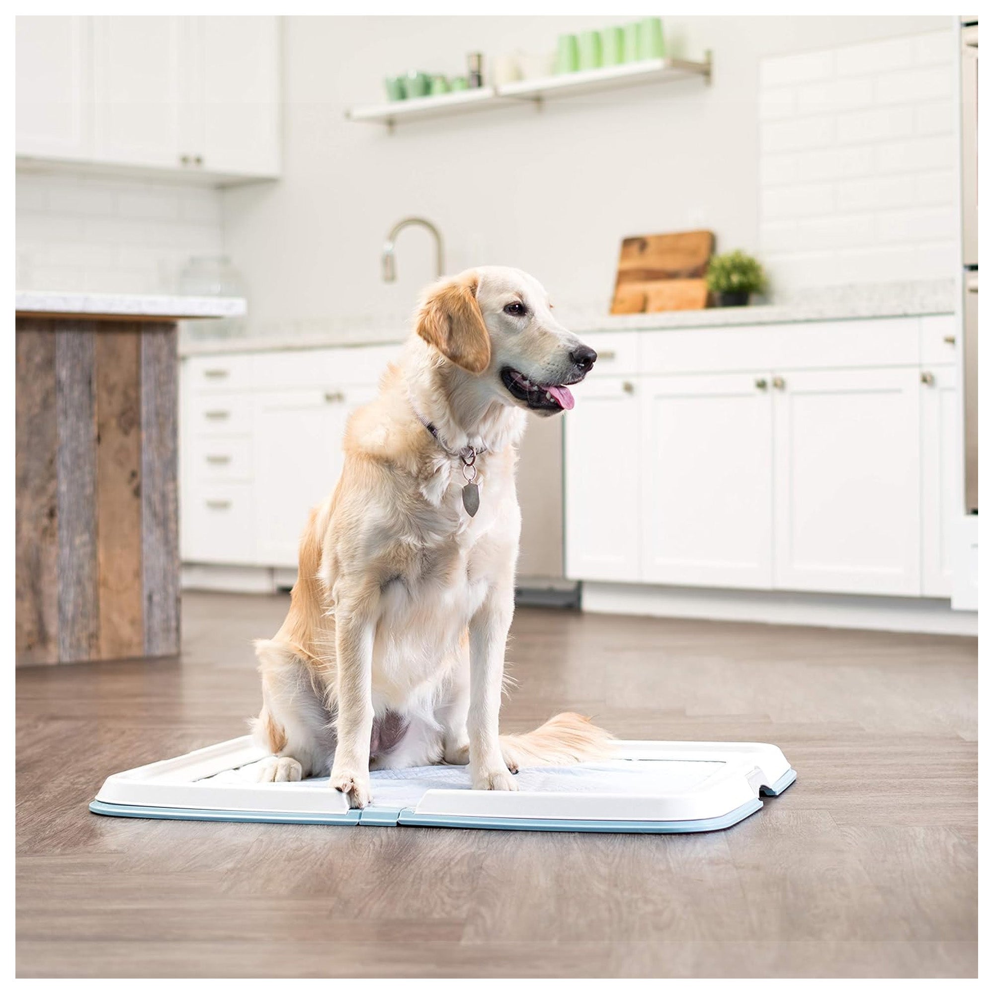 IRIS USA Secure Pee Pad Holder for Large Sized Dogs, Fits 28"x34" Pad (Open Box)