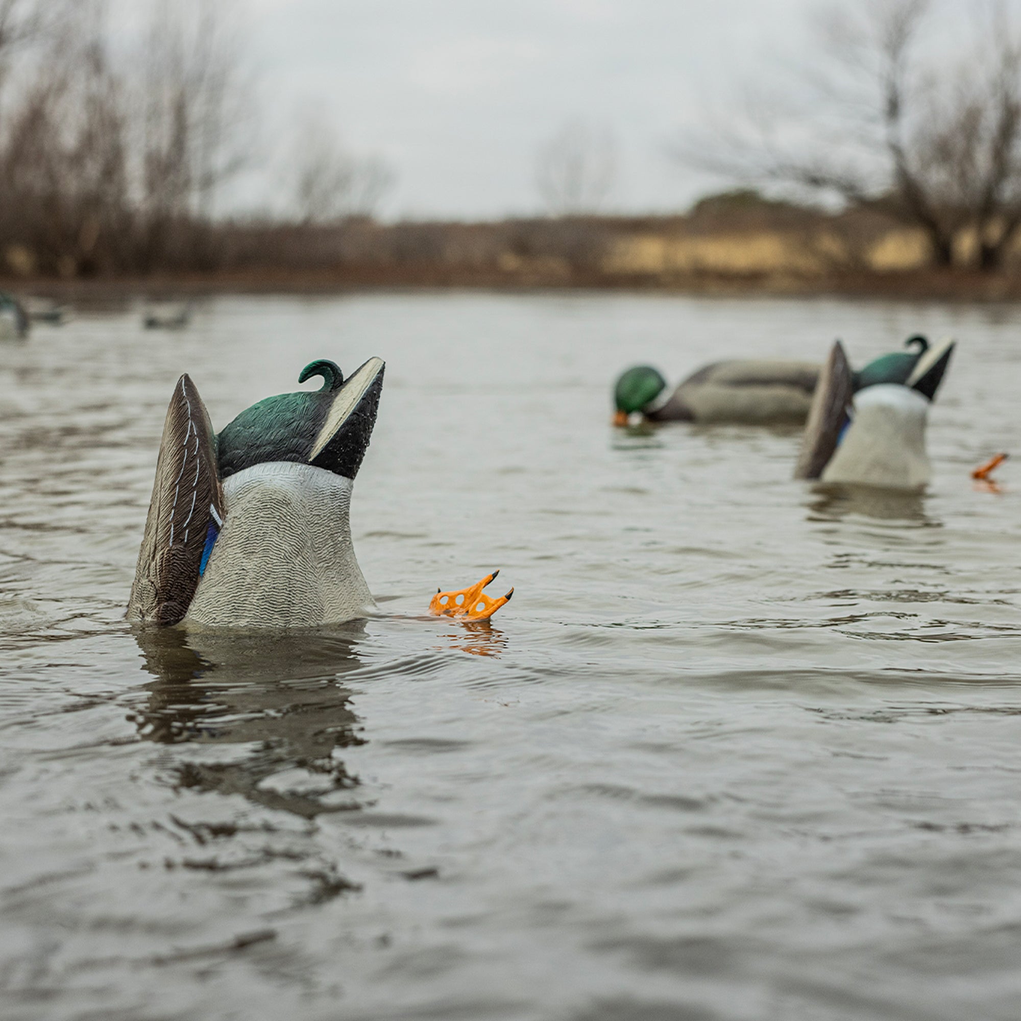 Avian-X Power Butt Kicker Drake Mallard/Hen Motion Duck Realistic Floating Decoy