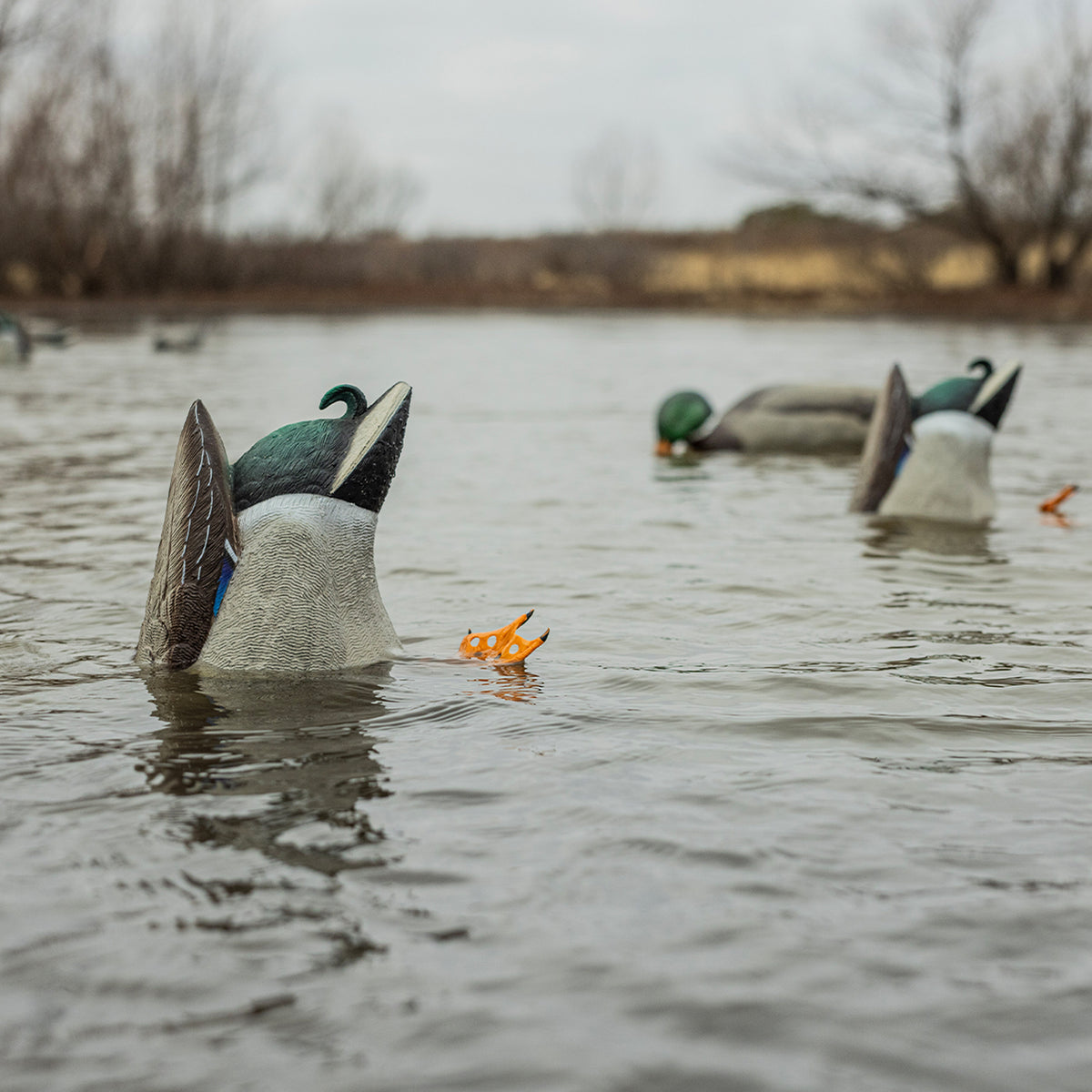 Avian-X Power Butt Kicker Drake Mallard/Hen Motion Duck Realistic Floating Decoy