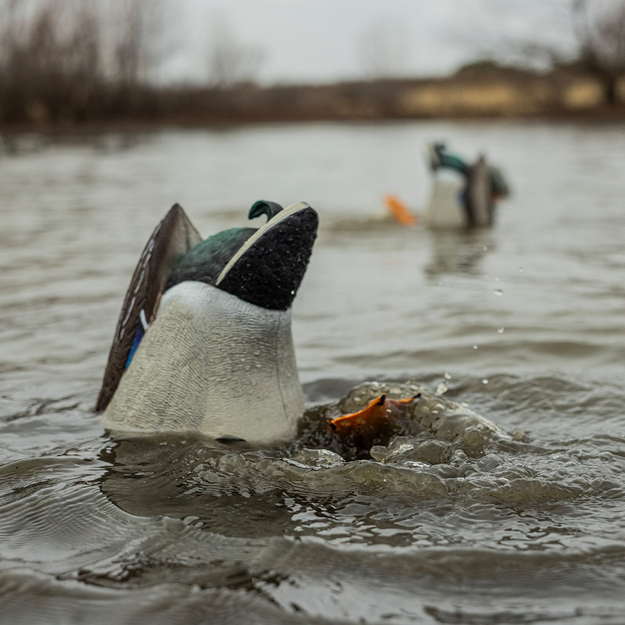 Avian-X Power Butt Kicker Drake Mallard/Hen Motion Duck Realistic Floating Decoy