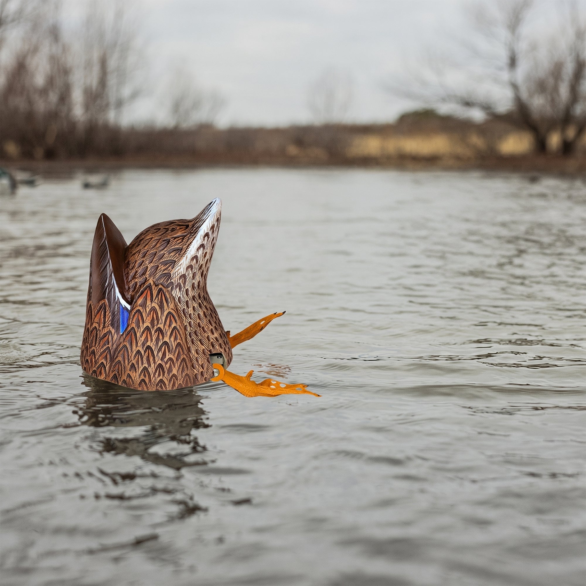 Avian-X Power Butt Kicker Mallard Hen Motion Duck Realistic Floating Decoy - VMInnovations