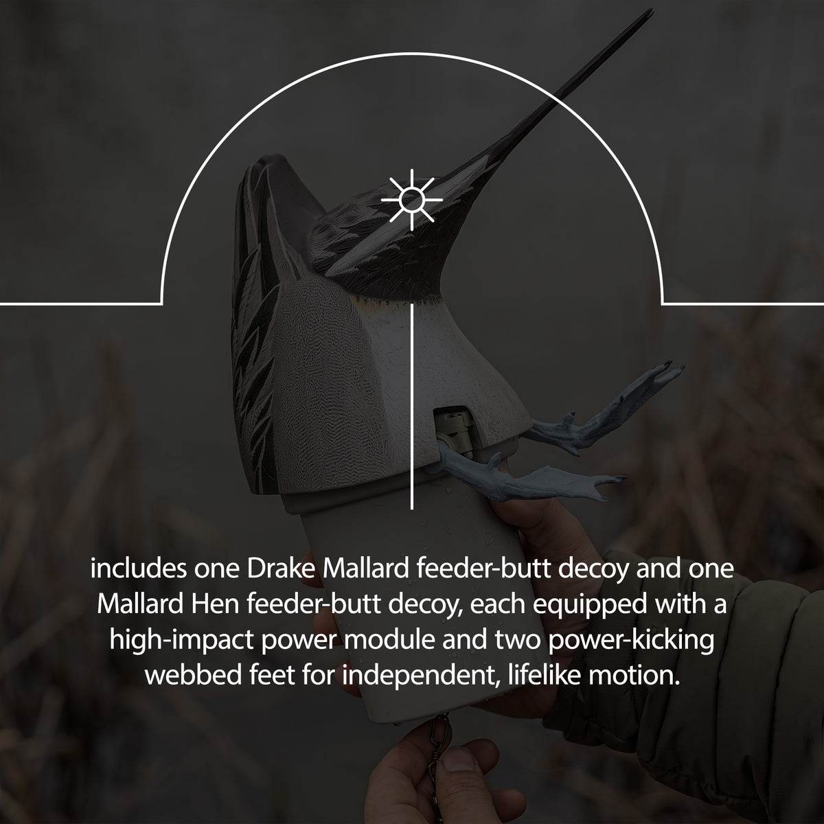 Avian-X Power Butt Kicker Pintail Drake Motion Duck Realistic Floating Decoy