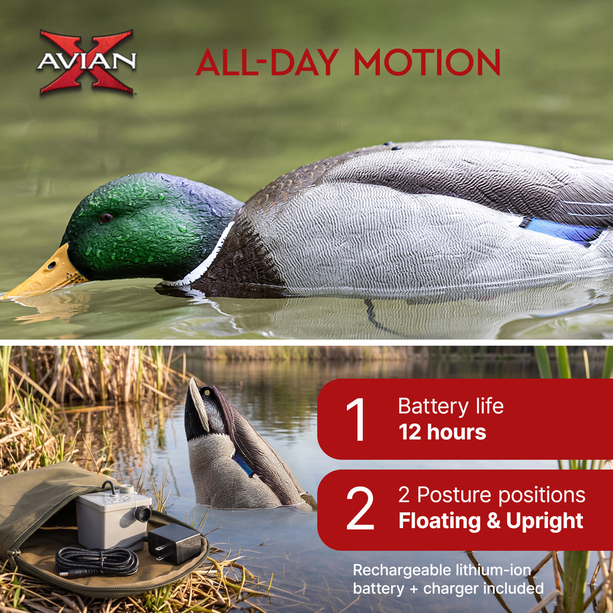 Avian-X Tip Up Mallard Duck Decoy, Patent-Pending Feeding Motion, 12-Hr Battery