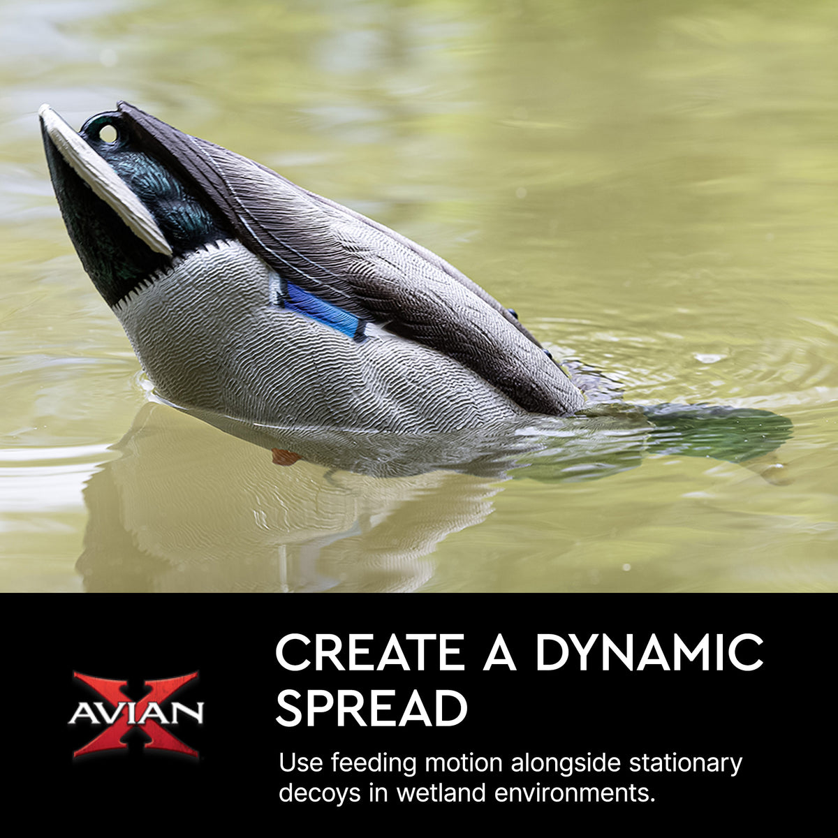 Avian-X Tip Up Mallard Duck Decoy, Patent-Pending Feeding Motion, 12-Hr Battery