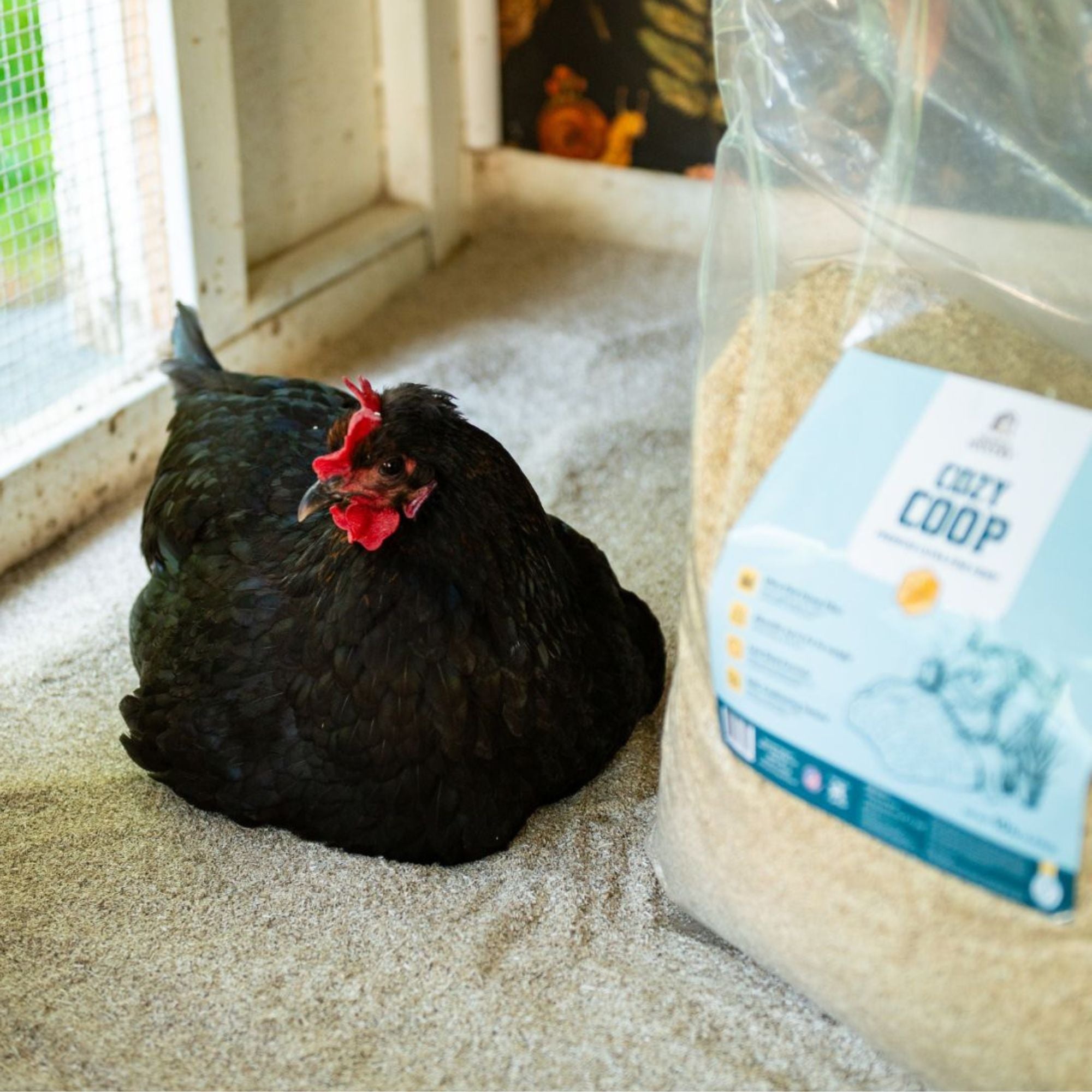Premium Poultry 4 Pack 10 Pound Bag Hemp Cozy Coop Siftable Chicken Bedding