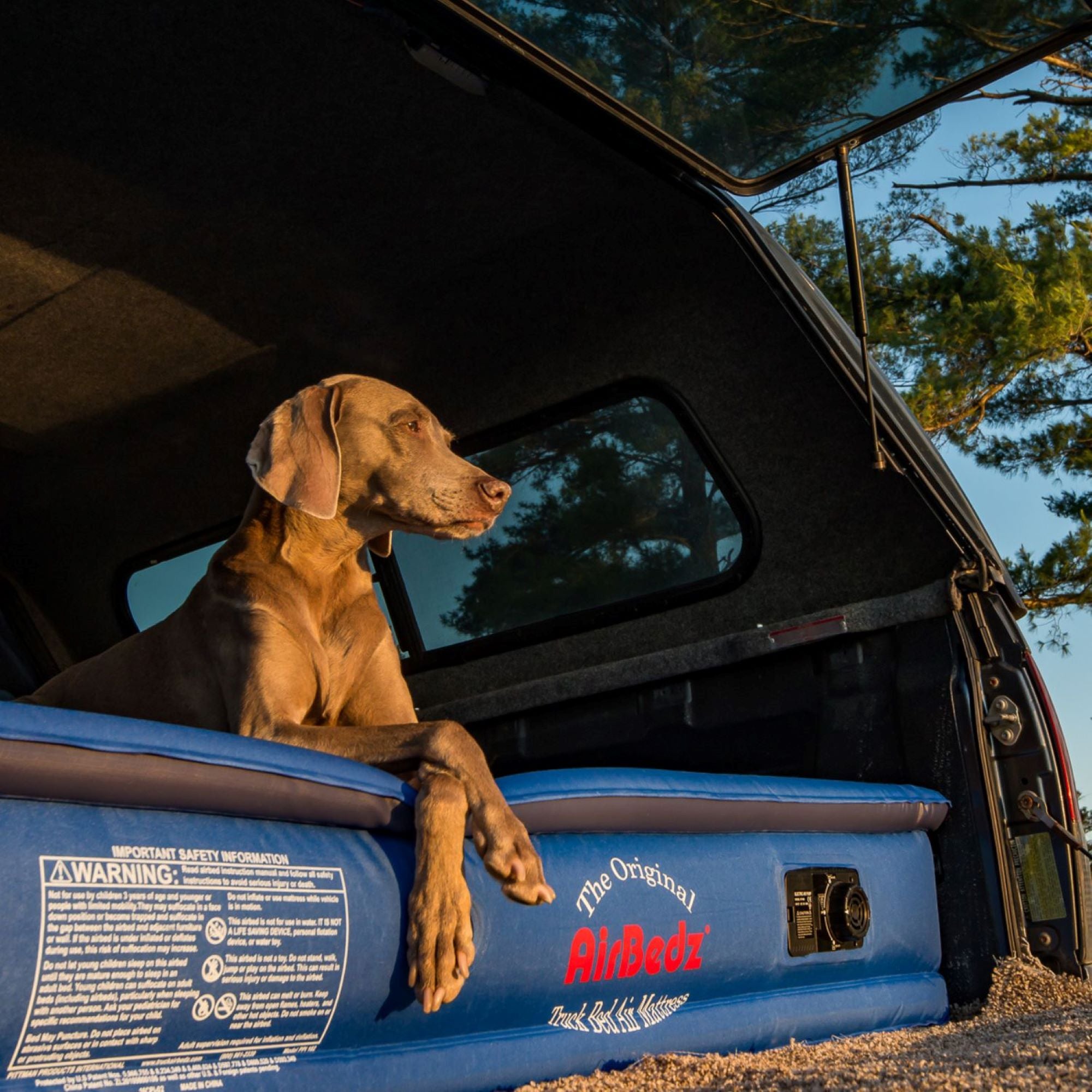 Pittman Outdoors Truck Bed Air Mattress with Pump for Short Truck Beds, 5', Blue - VMInnovations