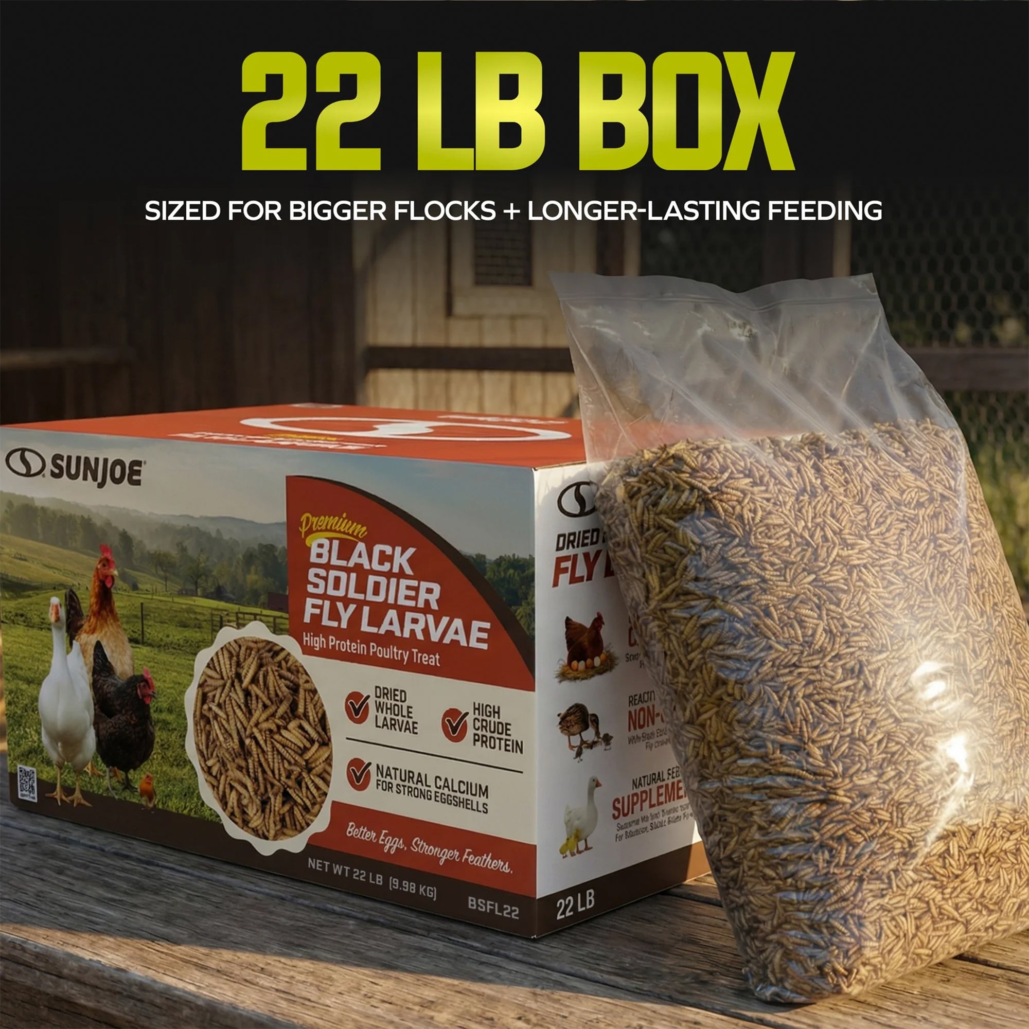 Sun Joe Whole Dried Black Soldier Fly Larvae, High Protein Poultry Treat, 22 lb - VMInnovations