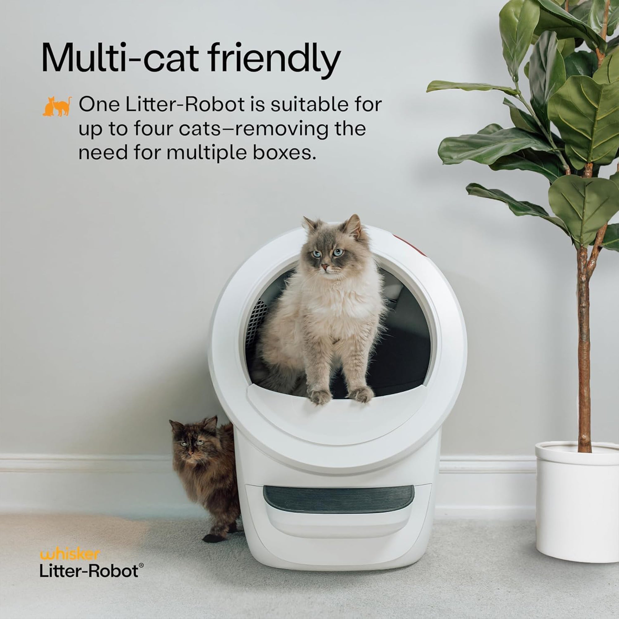 Litter-Robot 4 by Whisker, Automatic, Self-Cleaning Cat Litter Box (Open Box)