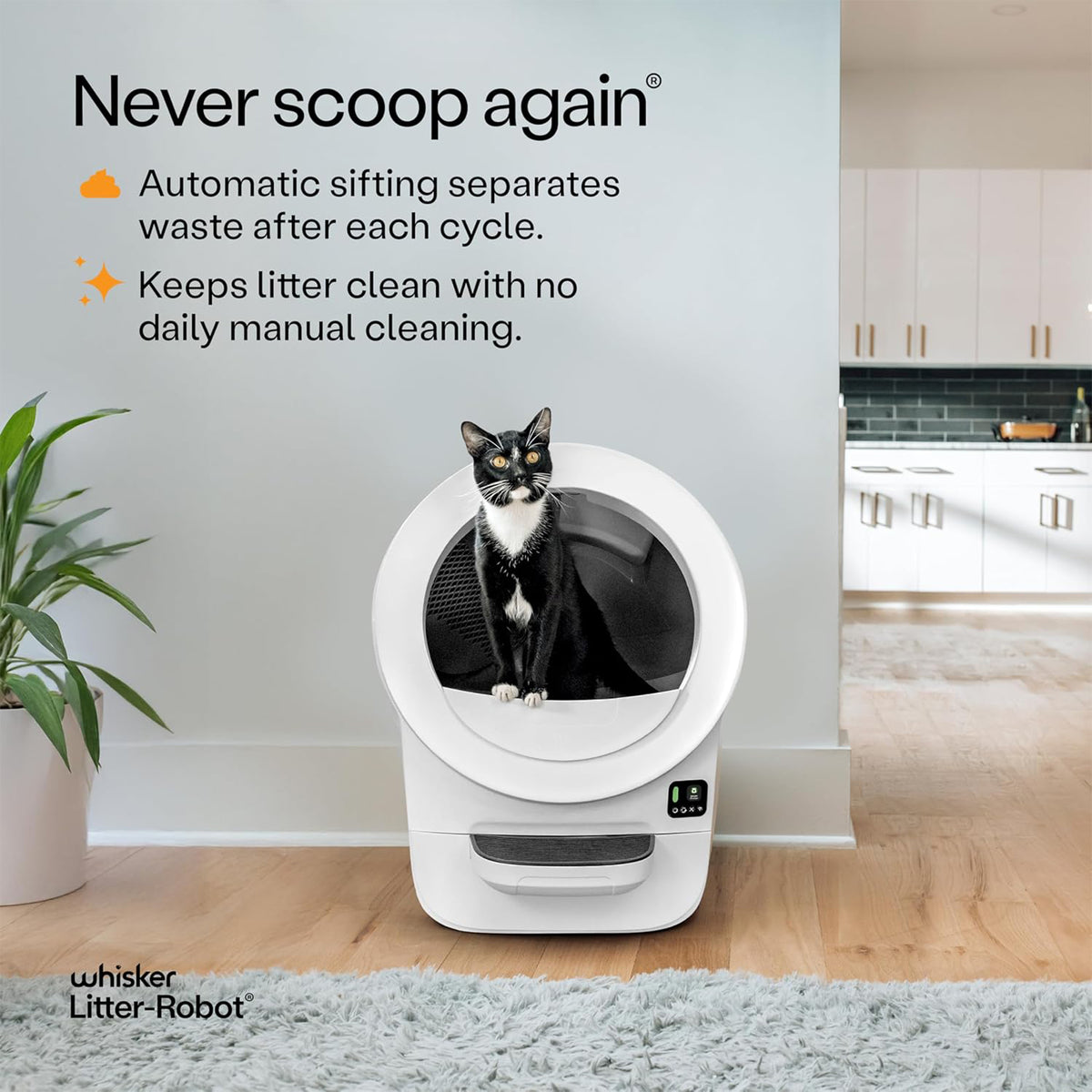 Whisker Litter-Robot EVO, White