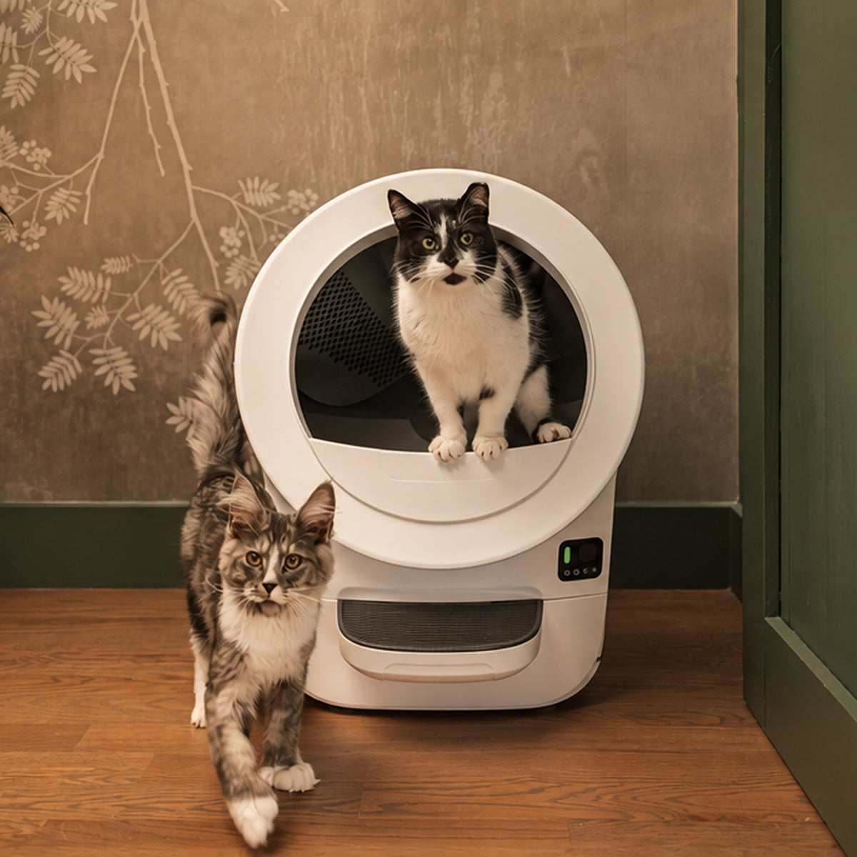 Whisker Litter-Robot EVO, White - VMInnovations