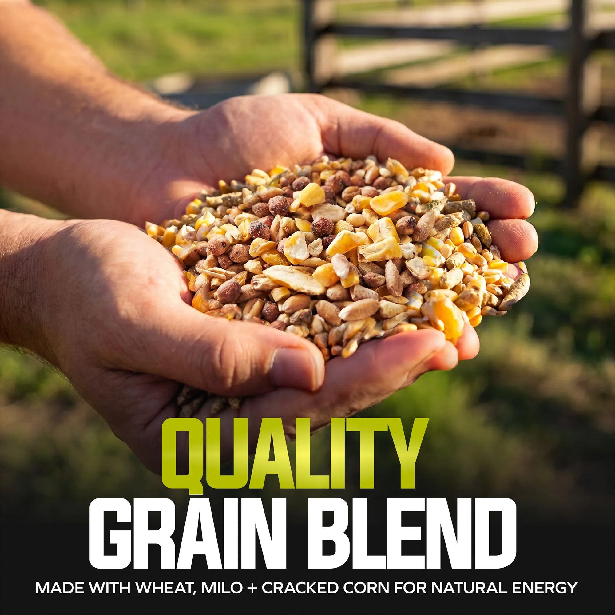 Sun Joe Premium Poultry Scratch Grain, Chicken Feed and Treats, 25 lb Bag