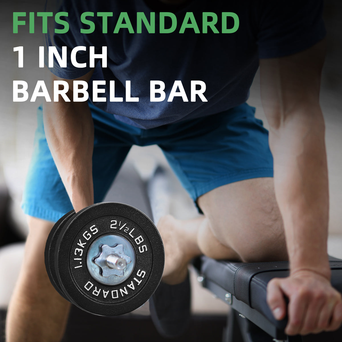 Fitvids 2.5 lb Cast Iron Grip Weight Plate, Set of 4 Olympic Plate for Home Gym