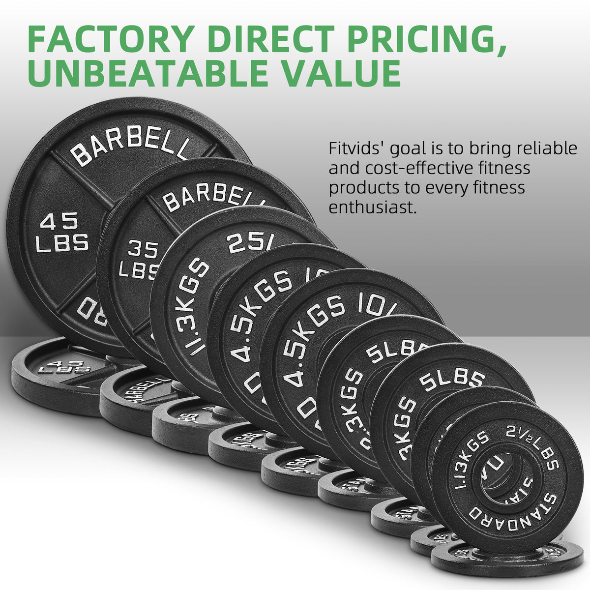 Fitvids 10 lb Cast Iron Grip Weight Plate, Olympic Plate for Strength Training