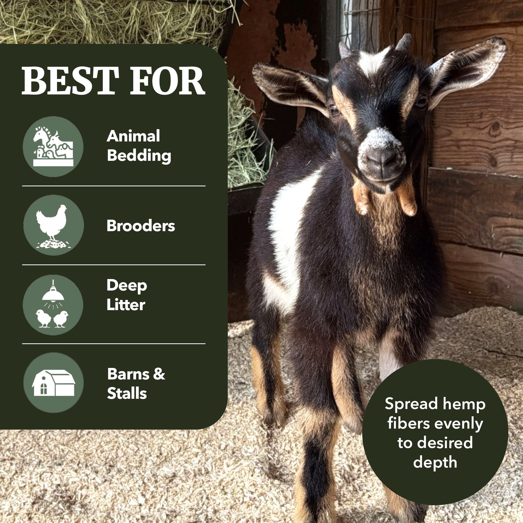 Premium Poultry 2 Pack Hemp Bedding Absorbent Chicken Coop Substrate, 22.5 Lb - VMInnovations