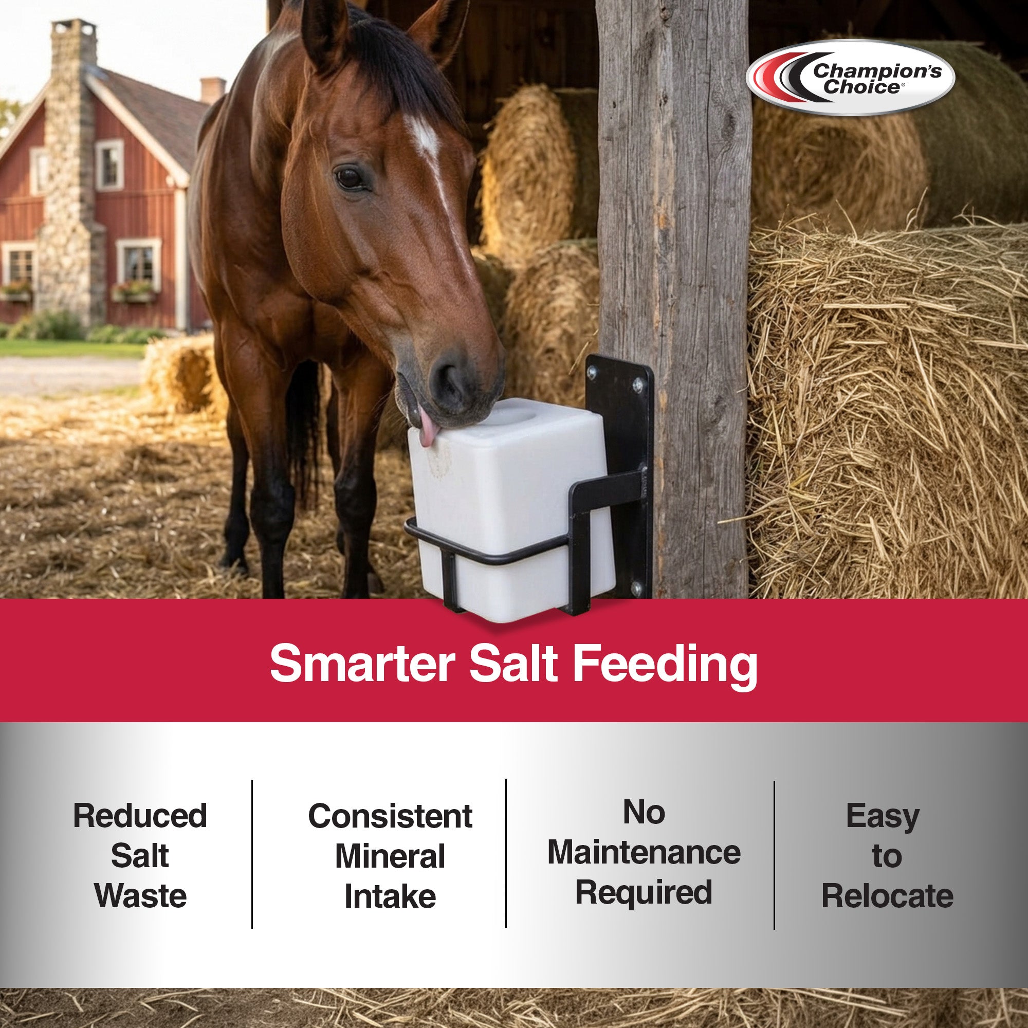 Champion's Choice White Salt Block, Livestock Feed for Animal's Diets, 50 Pounds