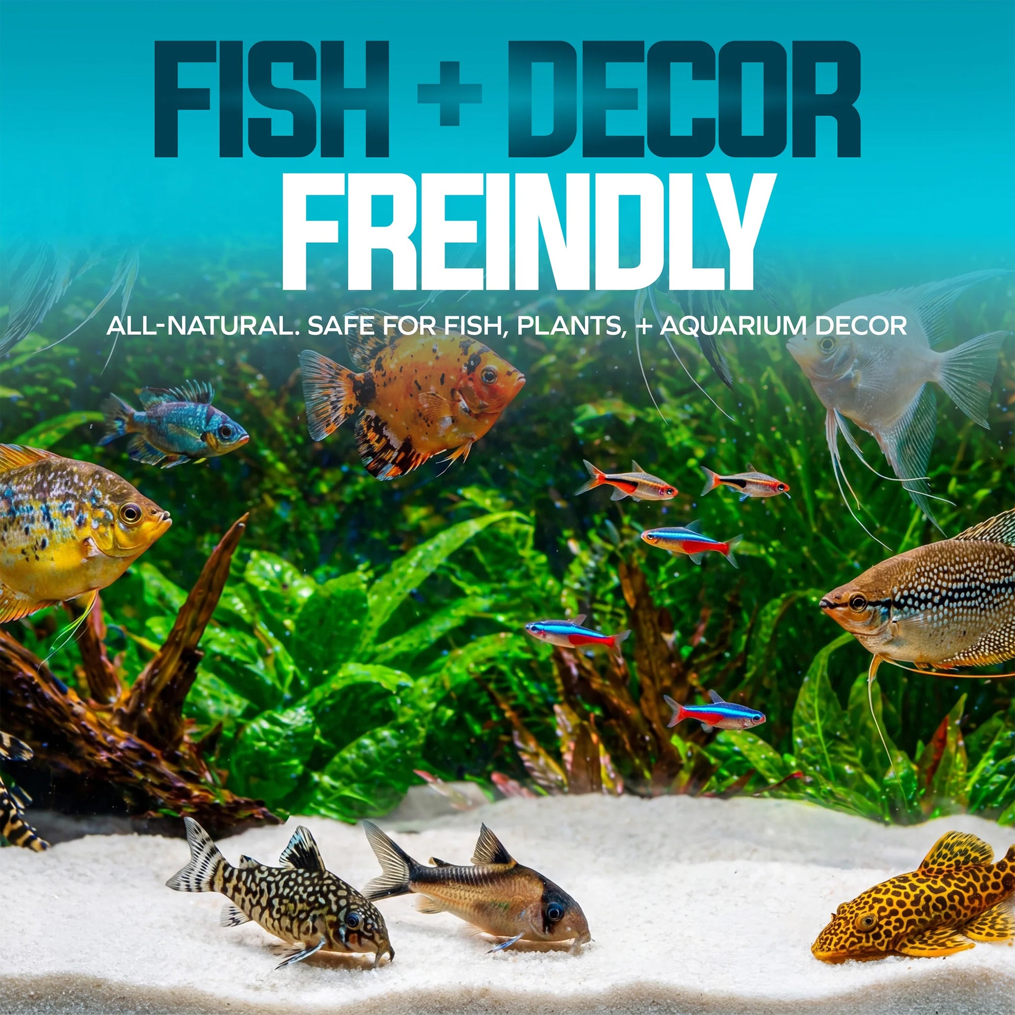 Aqua Joe 50 lb Aquarium Fine Sand for Freshwater & Saltwater Tanks, AQASND50 - VMInnovations