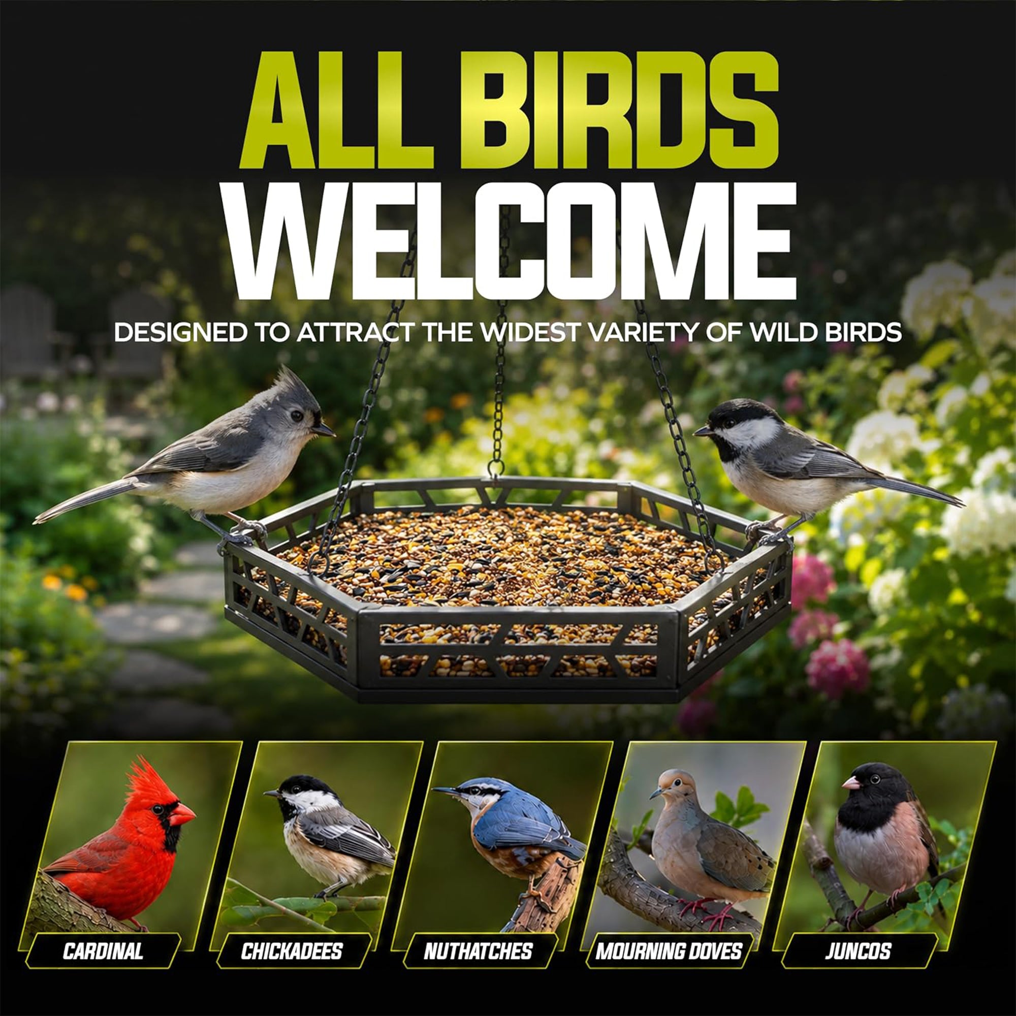 Sun Joe Wild Bird Seed Blend, Supplemental Feed for Backyard Birds, 25 Lb