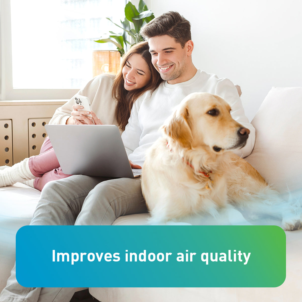 Panasonic BalancedHome Elite 150 Energy Recovery Ventilator, Top Port, 30-150CFM