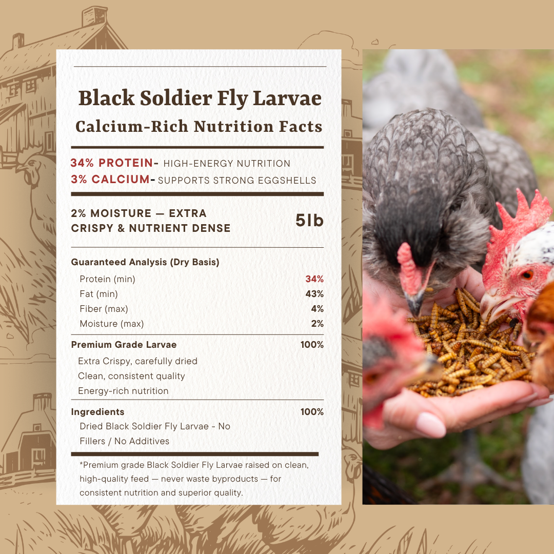 Premium Poultry 5 lb Dried Black Soldier Fly Larvae Chicken Feed Protein Treats