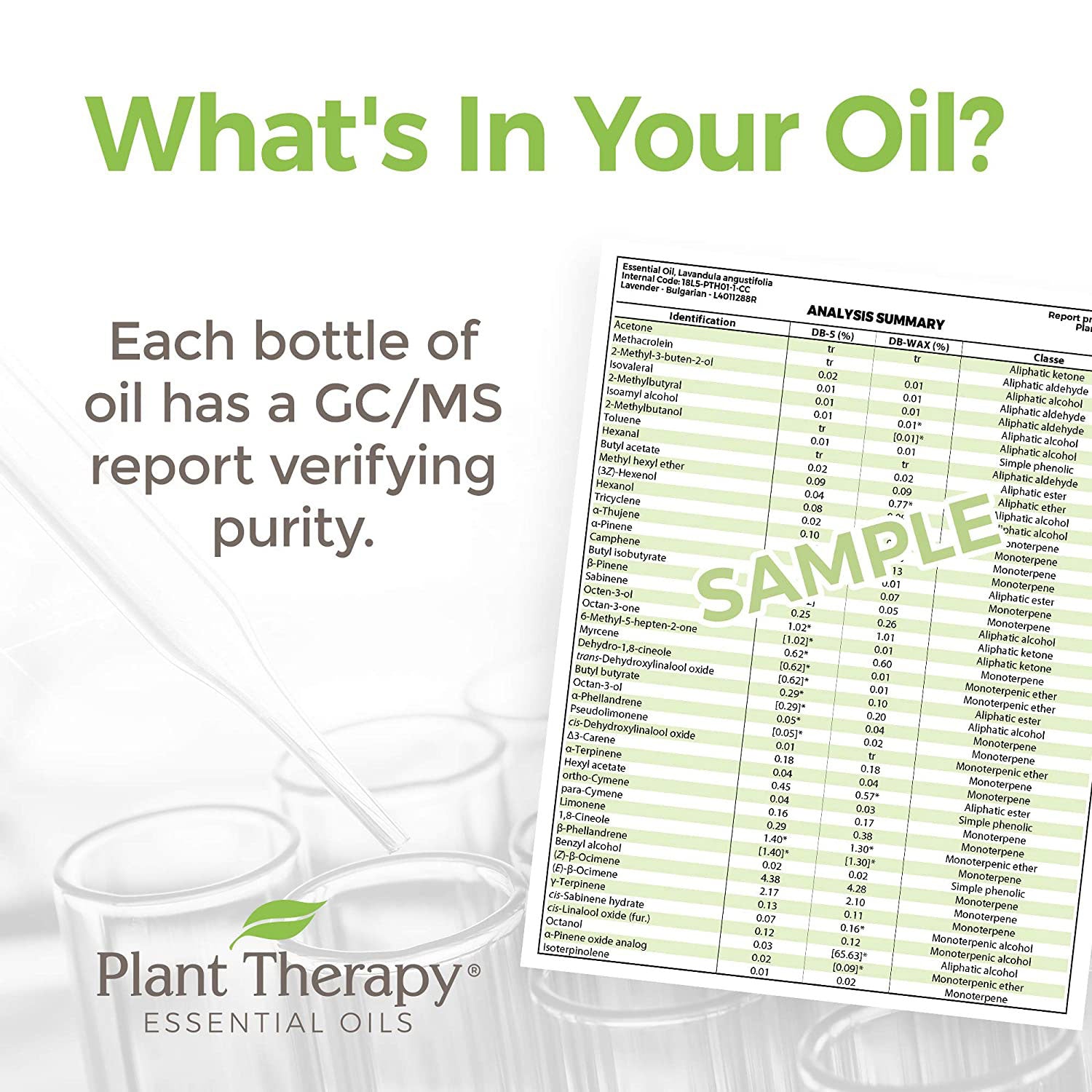Plant Therapy Aroma Diffusible 10 mL Essential Oils, Set of 6, Fruits (3 Pack)