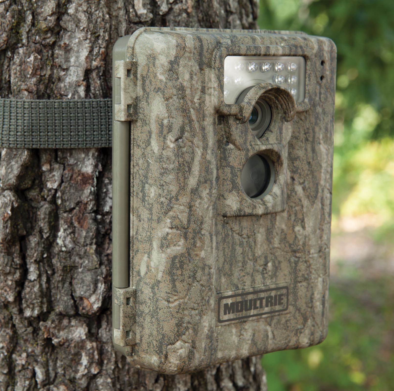 MOULTRIE A-8 Low Glow Infrared Digital Trail Game Hunting Camera (Open Box)
