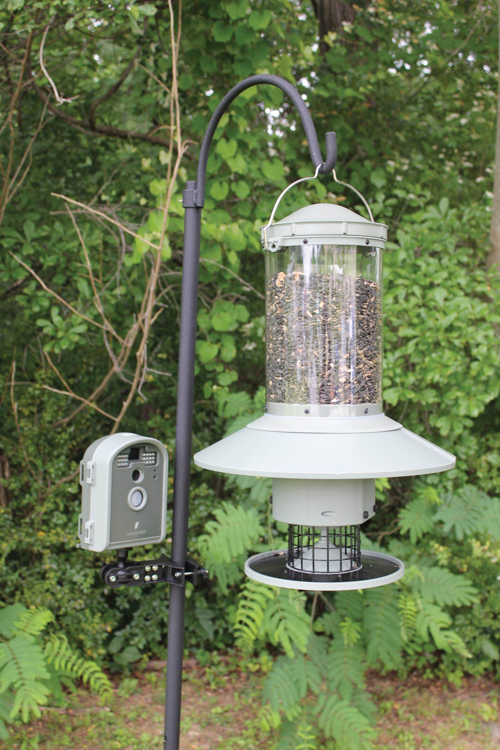 Wingscapes BirdCam Pro Motion-Activated Digital Backyard Wildlife Camera+SD Card