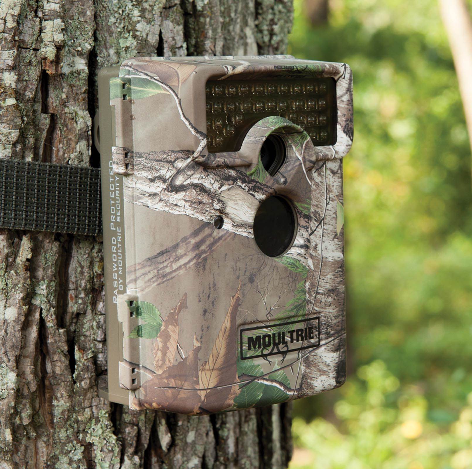 (2) MOULTRIE M-1100i No Glow Infrared Game Cameras + Security Boxes & SD Cards