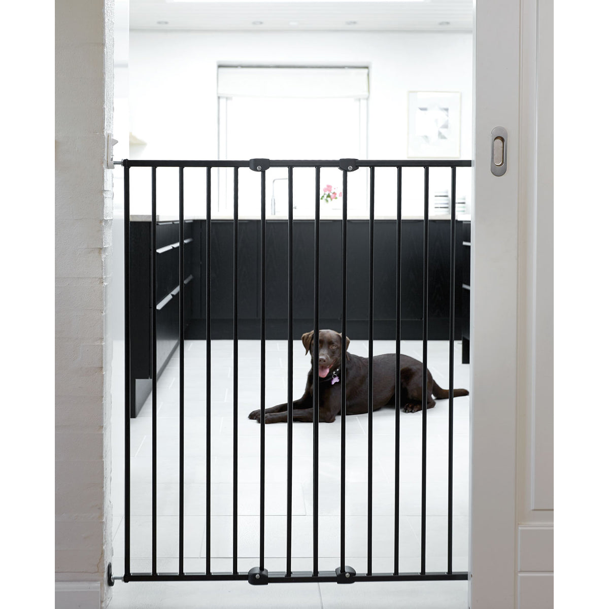Scandinavian Pet Design Extra Tall 42" Wall Mount Safety Gate (2 Pack) - VMInnovations