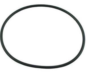Pentair R172009 Cap O-Ring Replacement Rainbow 300/320 Pool Spa Chlorinator Lid