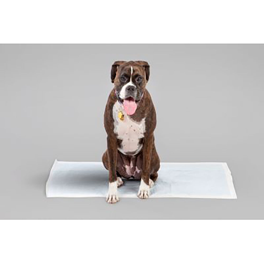 IRIS USA Neat 'n Dry Premium Extra Large Dog Potty Training Pads, 100 Count