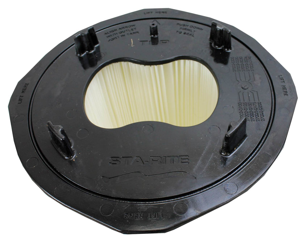 2) Sta-Rite 27002-0100S System 2 3 PLM100 Module Cartridge Filters 270020100S