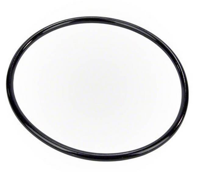 2) NEW Pentair 350013 WhisperFlo Pinnacle Pool Spa Pump Replacement Lid O-Rings