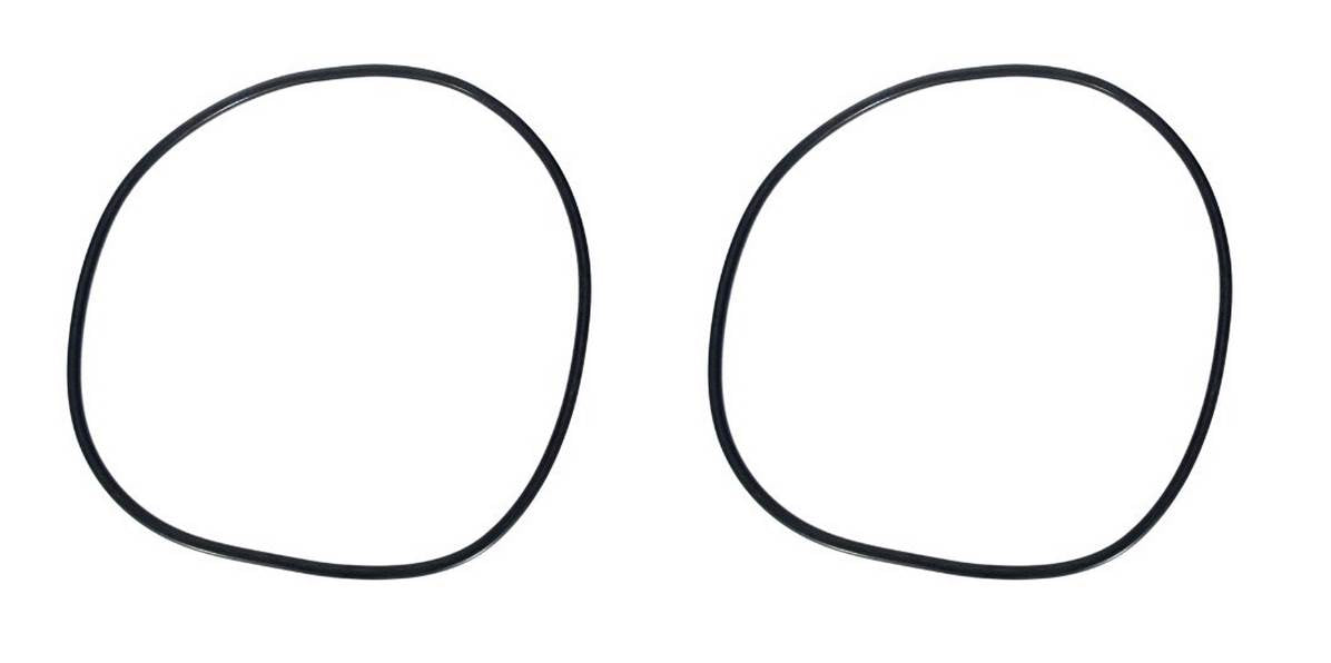 2) Pentair 39010200 Quad DE Clean & Clear Plus Pool Filter Replacement O-Rings