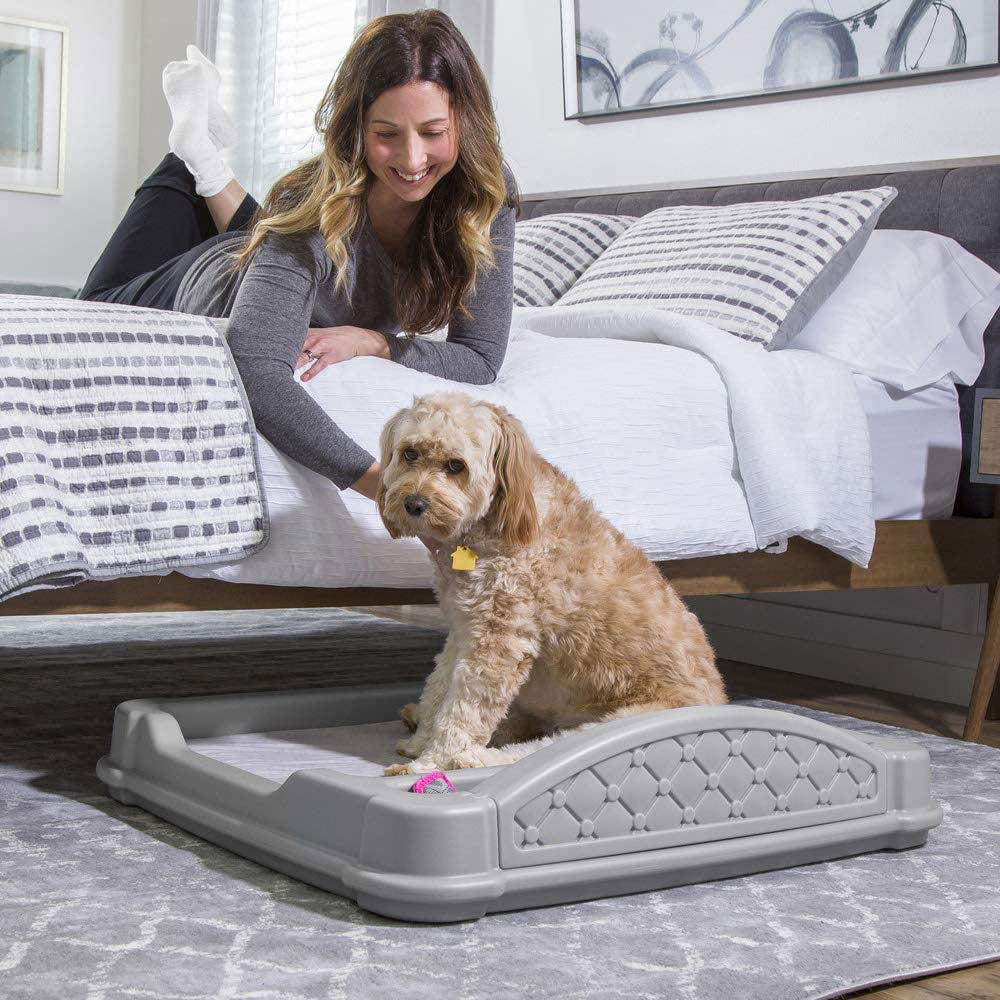 Step2 Close N Cozy Hideaway Comfortable Dog Bed for Small to Medium Dogs, Gray