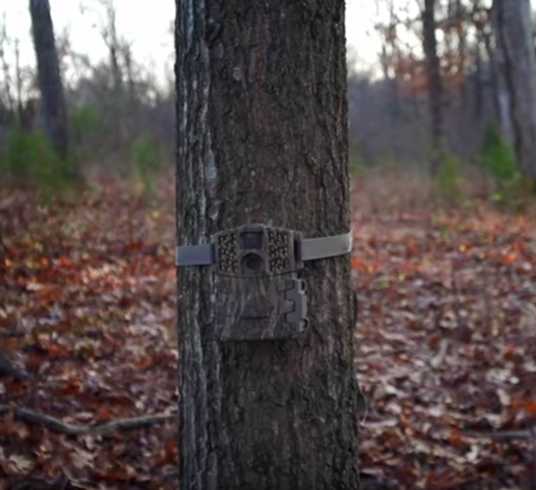 Game Spy M-880i Gen2 No Glow Invisible Infrared Trail Game Camera (Open Box)