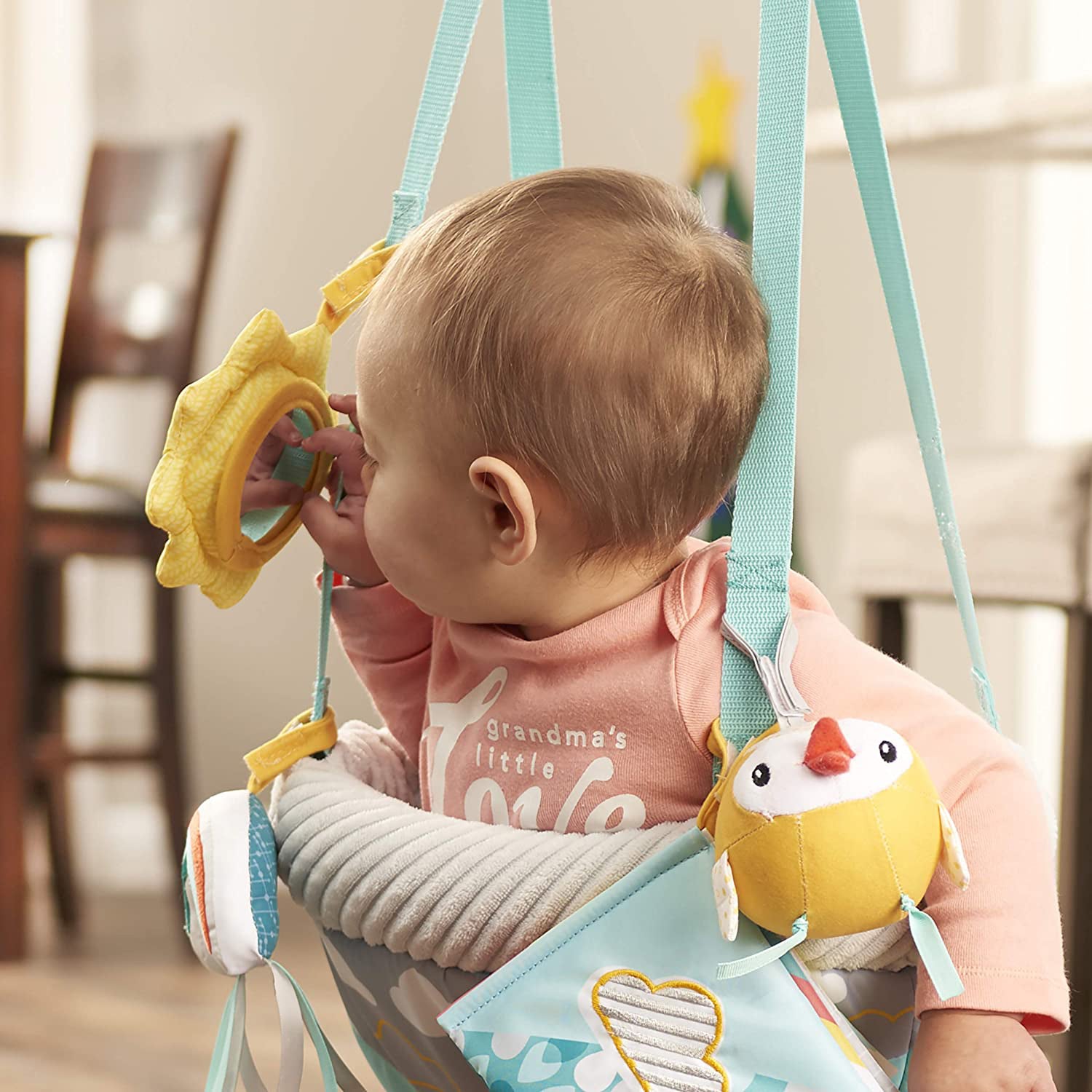 Evenflo Doorway Jumper with 4 Removable Toys & Mirror, Sweet Skies (Used) - VMInnovations