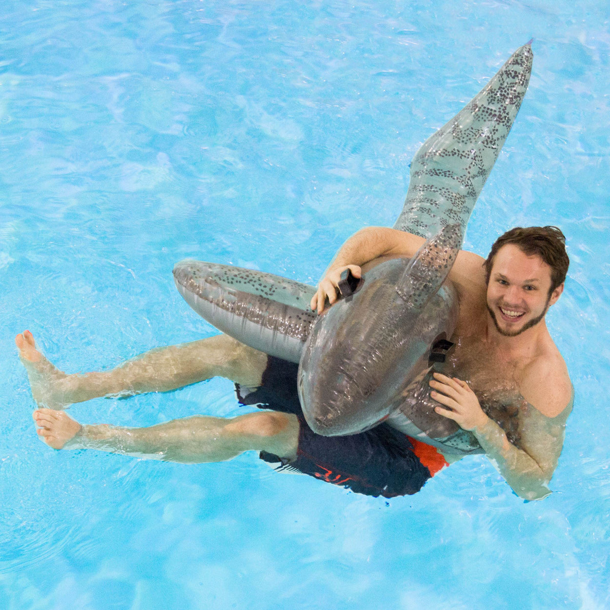 Swimline Pool Ride-On Shark Float Inflatable Toy Lounge 72-inch, 2-Pack | 9045 - VMInnovations