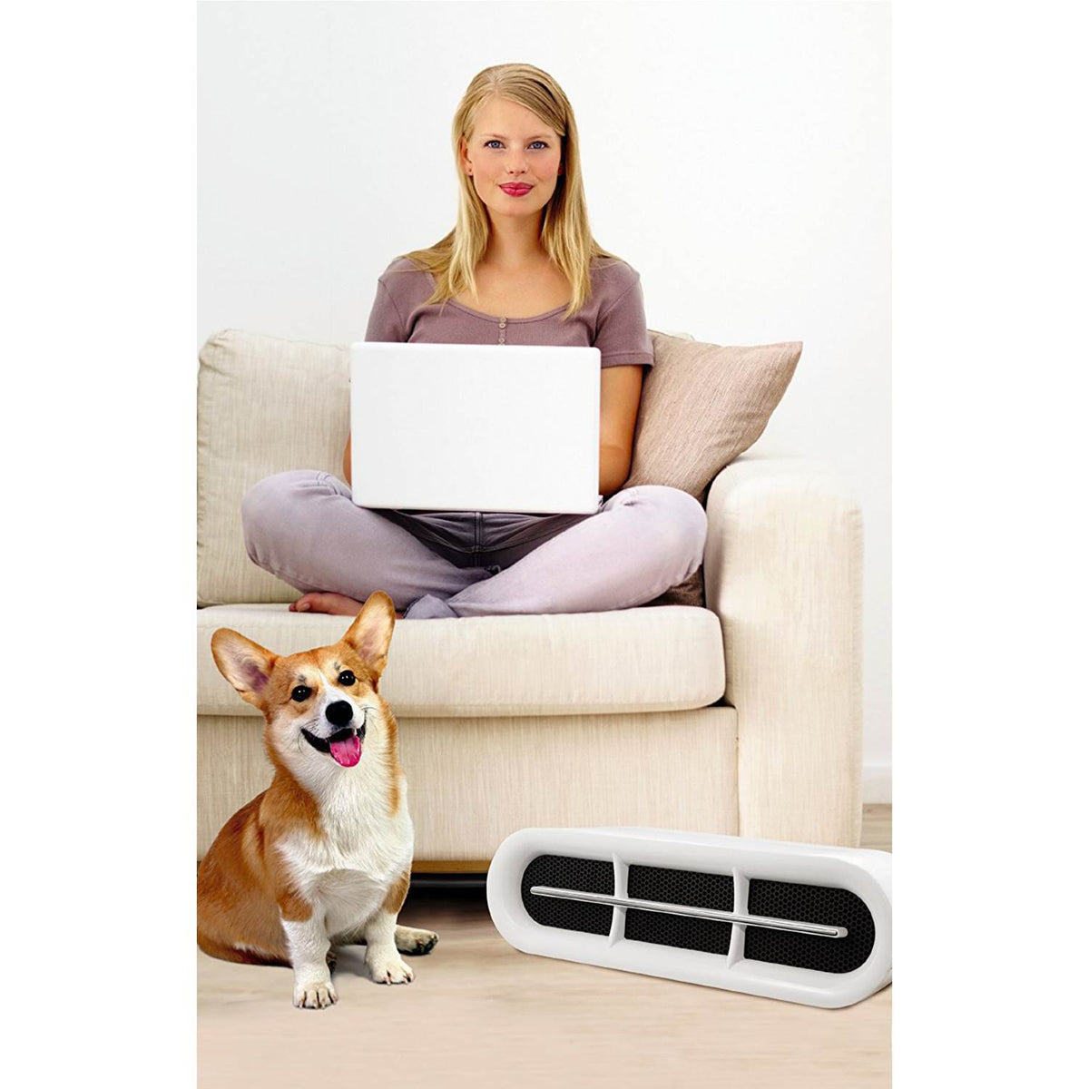 Claritin True HEPA Permanent Filter Air Purifier, 30-Inch, White CAP531-U-006