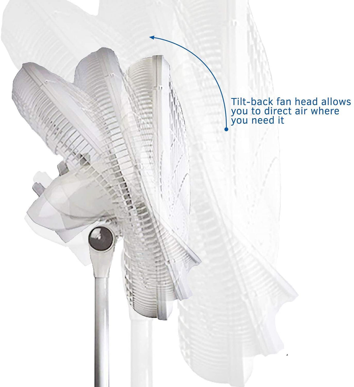 Lasko 18" Elegance and Performance Oscillating Standing Pedestal Fan (Open Box)